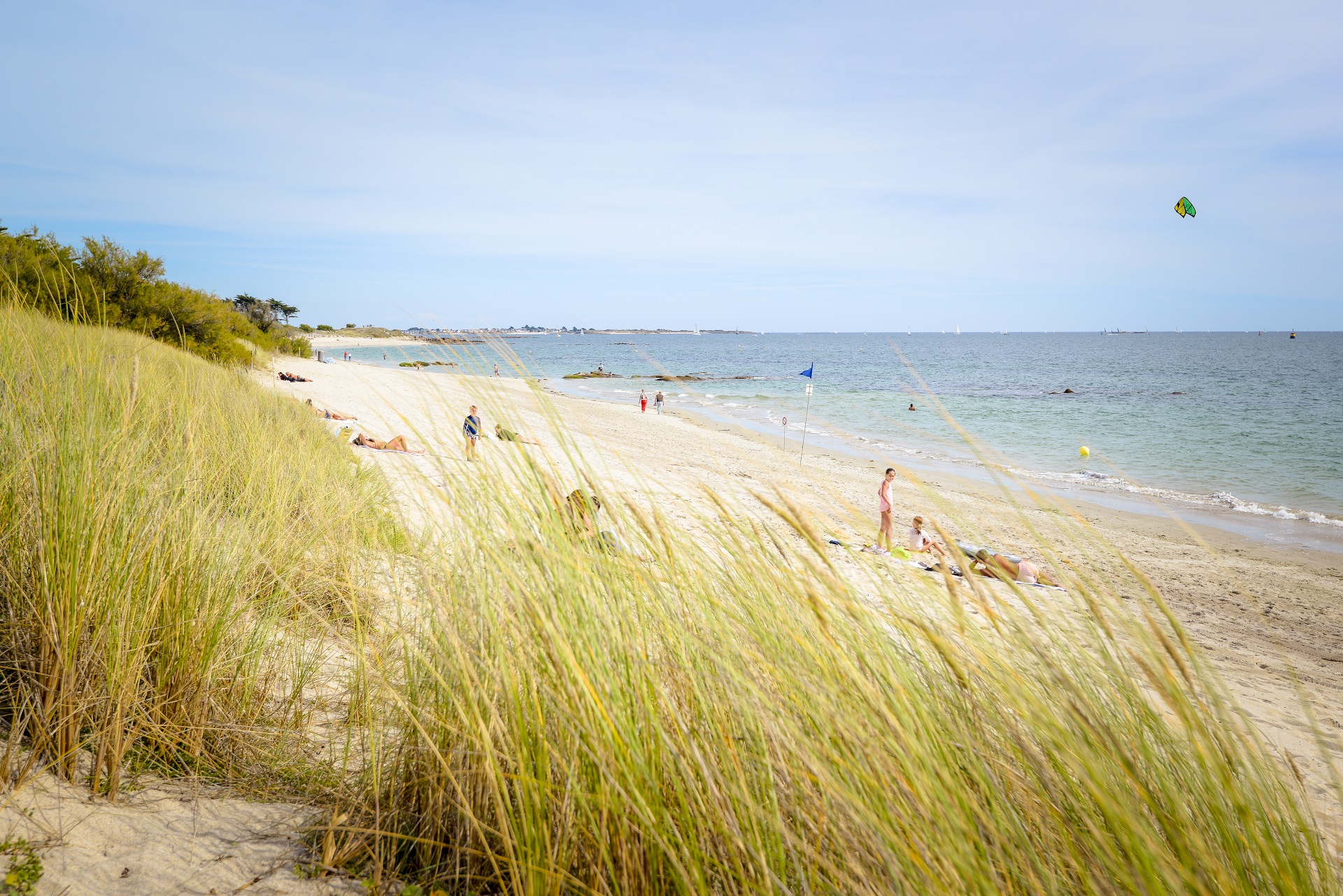 1-Plage de Kerguelen les mouettes vue des oyats à Larmor-Plage (Morbihan) 56