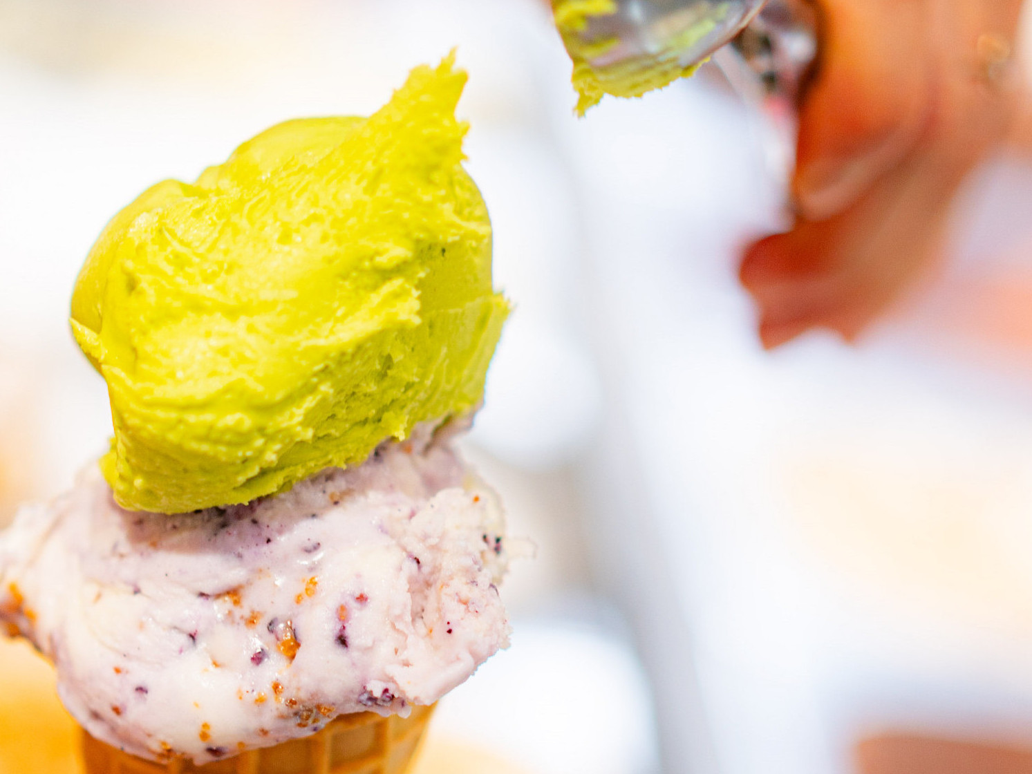 20250716-loups-givres-11-22170