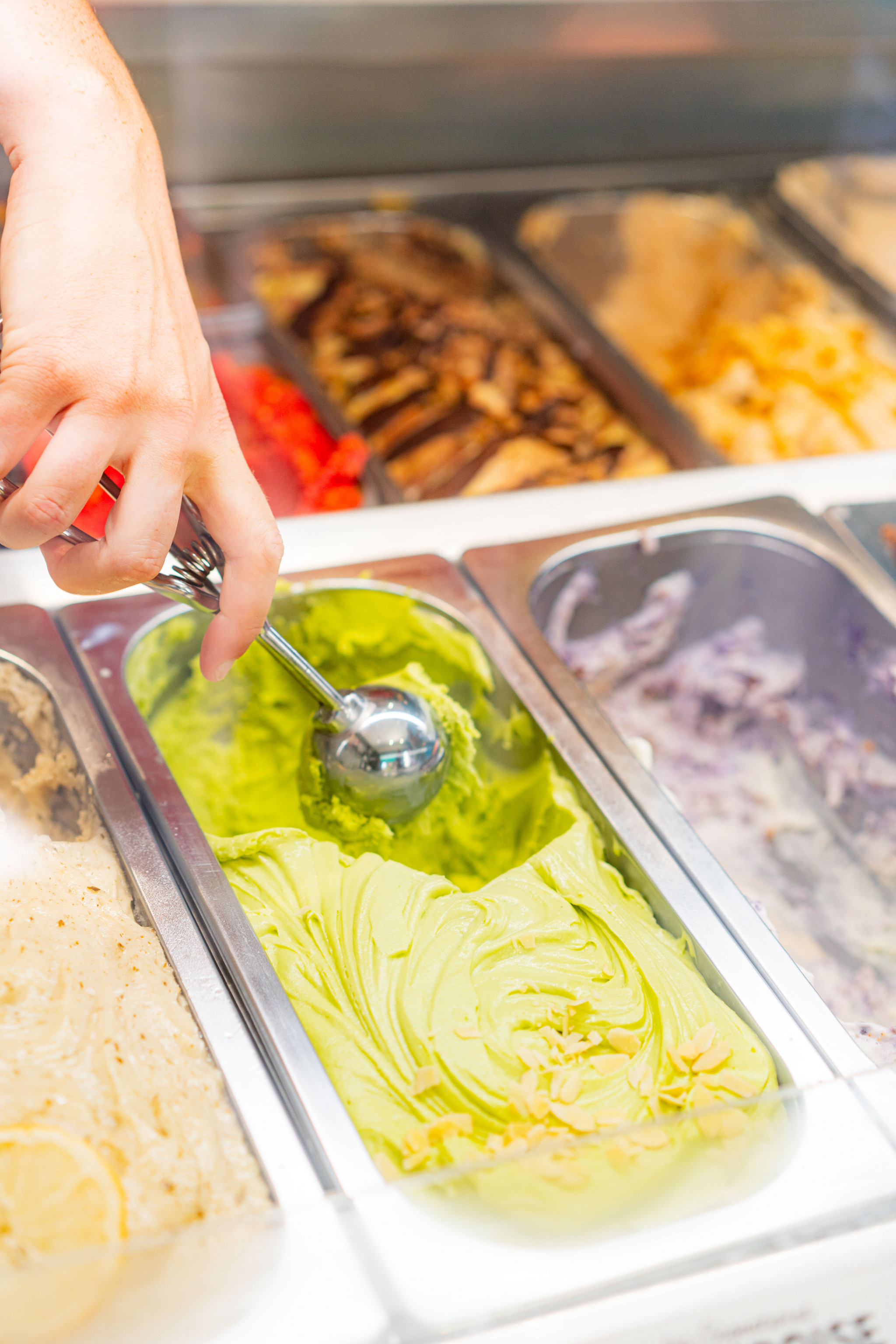 20250716-loups-givres-49-22173