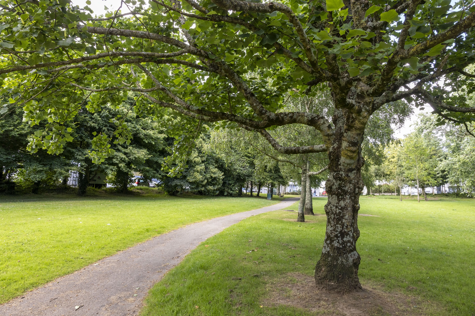 Allée dans le jardin du manio à Lorient (Morbihan) 56