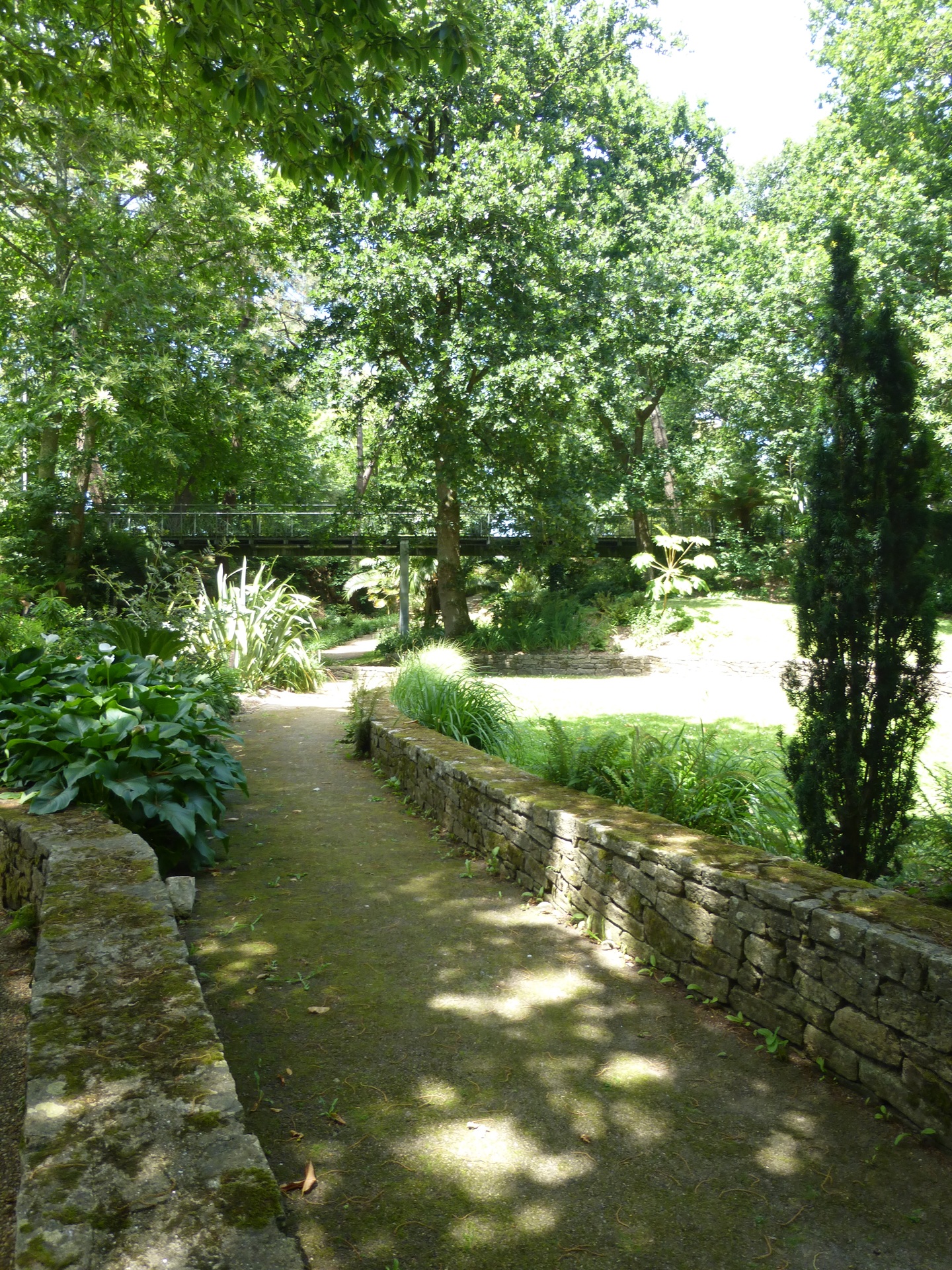 Allée et passerelle au Parc du Venzu à Lorient (Morbihan) 56