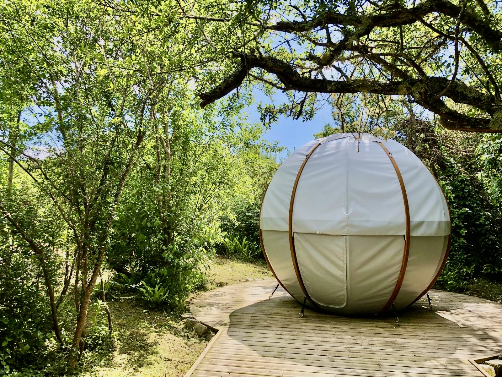 Au parcabout, sur l'Ile de Groix, vous avez la possibilité de dormir dans un nid au sol ou en hauteur dans les arbres à Lorient Bretagne Sud (Morbihan, 56)