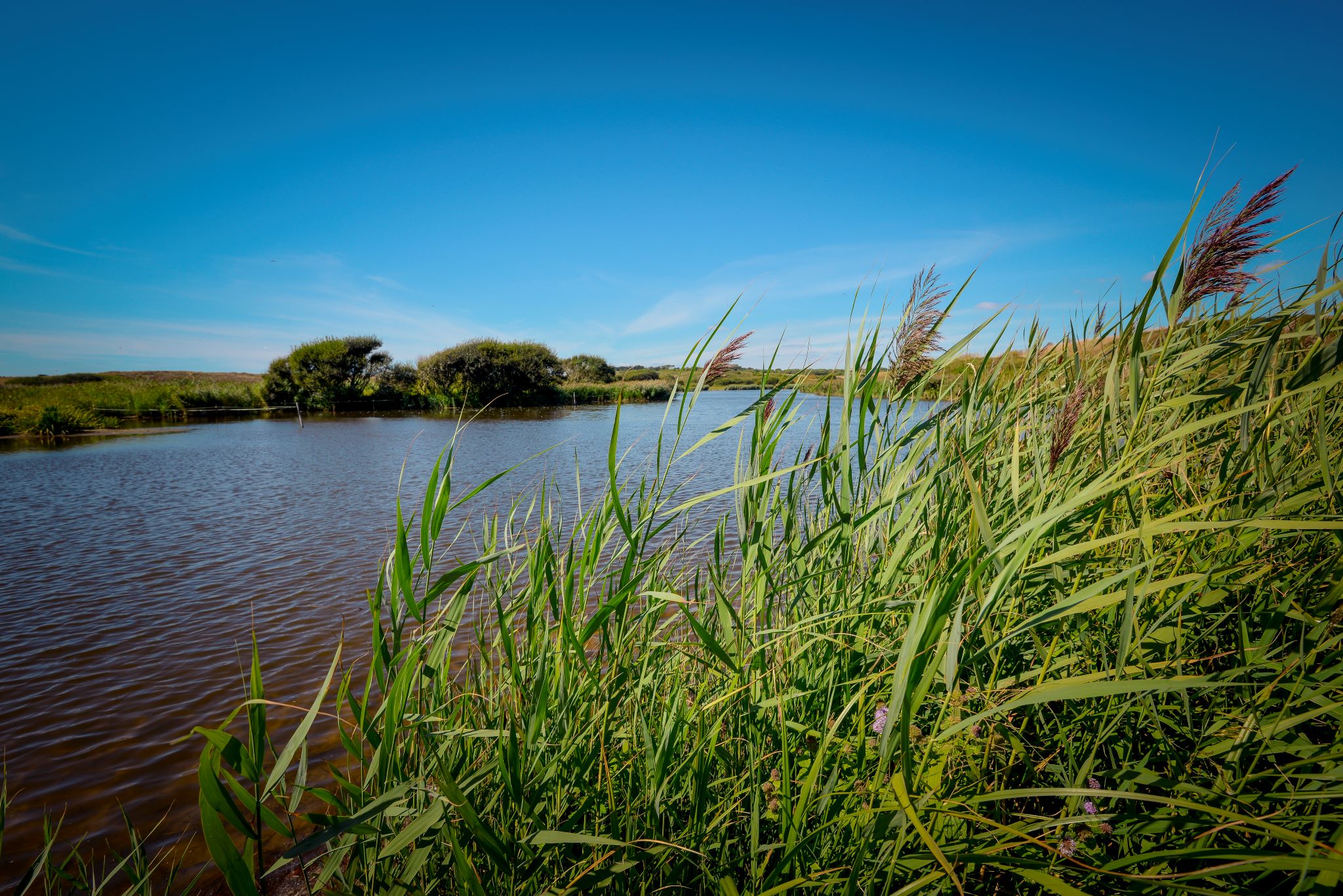 Balade sur l'étang du loch à Guidel proche Lorient (Morbihan) 56