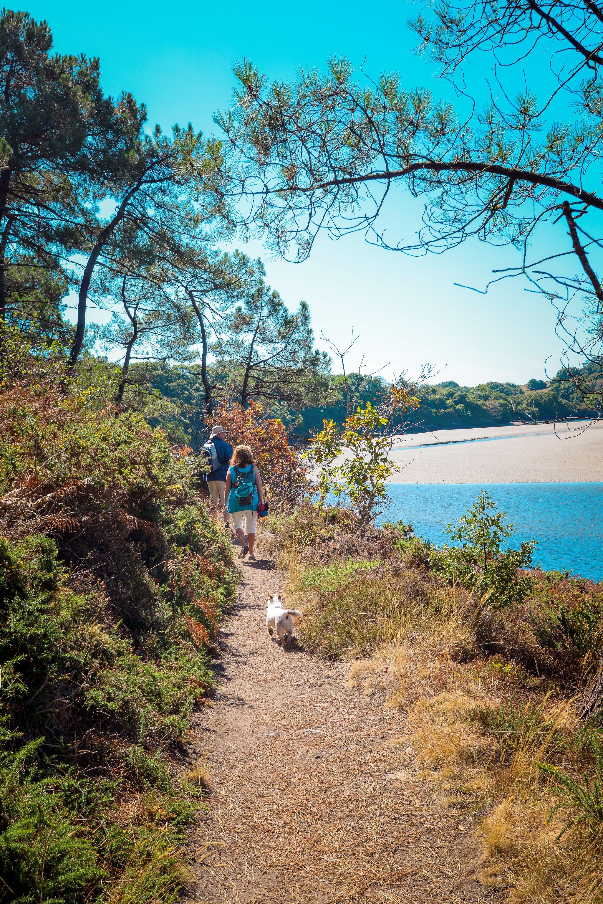 Balade sur les rives de la Laïta à Guidel proche Lorient (Morbihan) 56