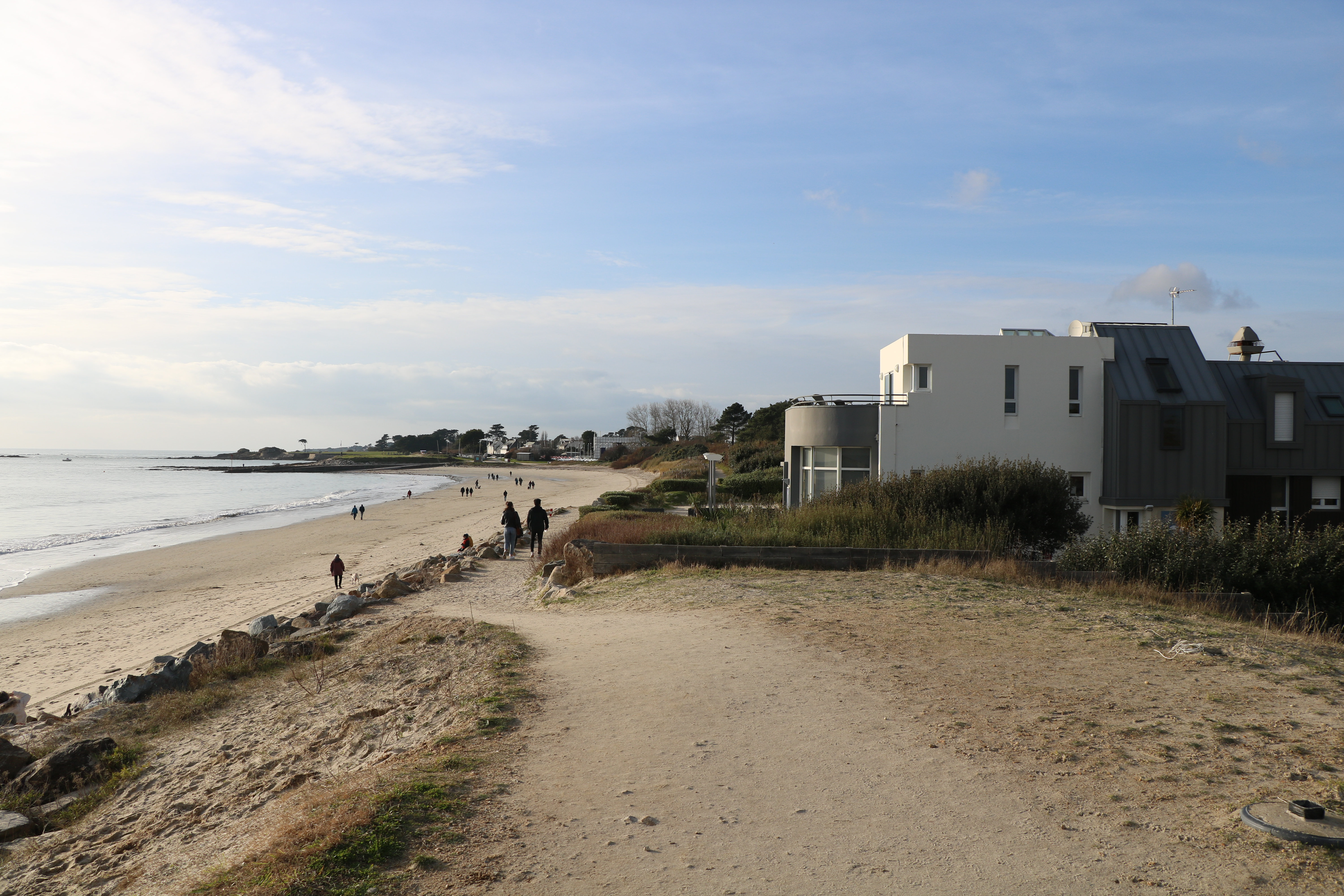 Chemin côtier proche la plage de Kerguelen les mouettes à Larmor-Plage (Morbihan) 56