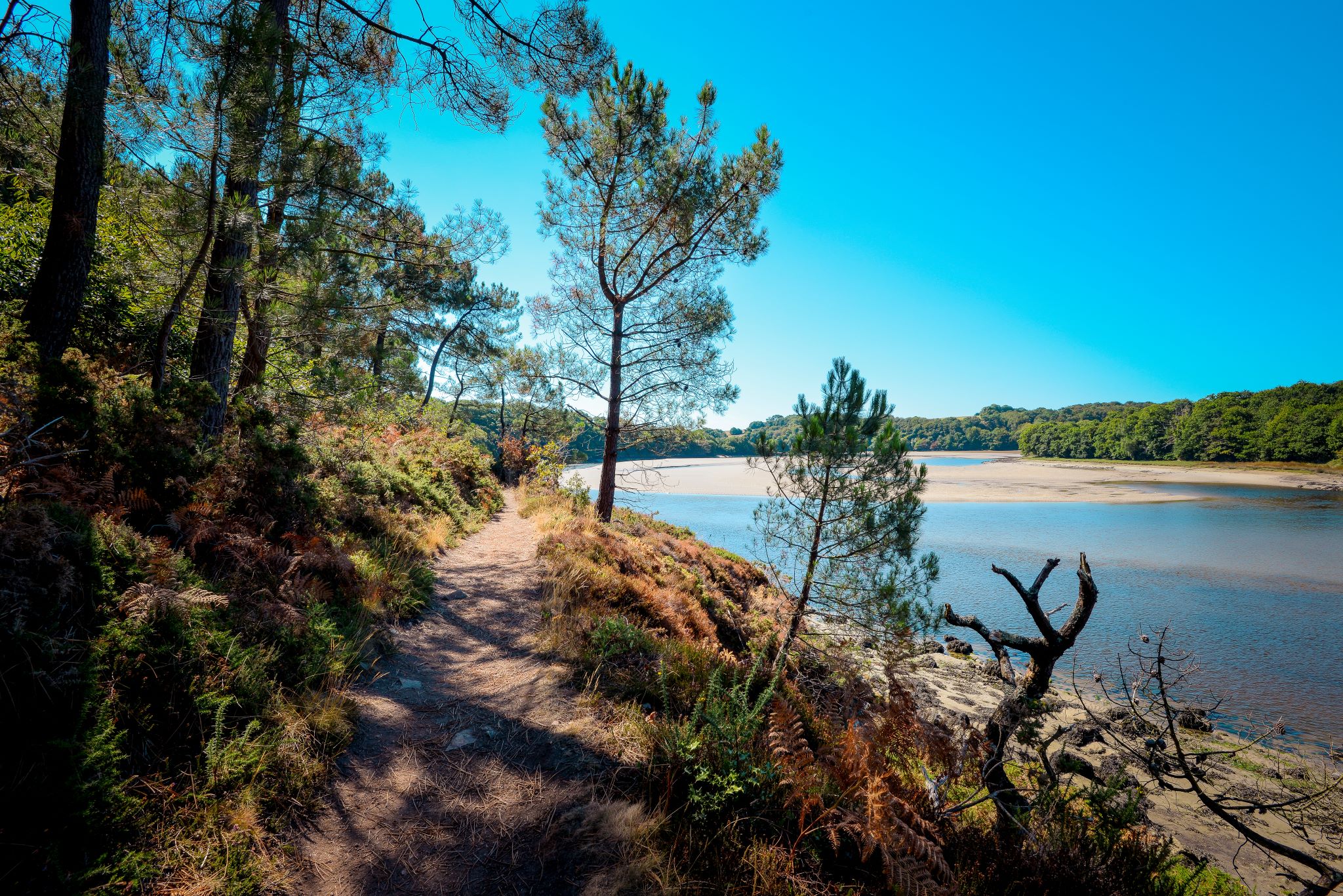 Chemin de randonnée sur les rives de la Laïta à Guidel proche Lorient (Morbihan) 56