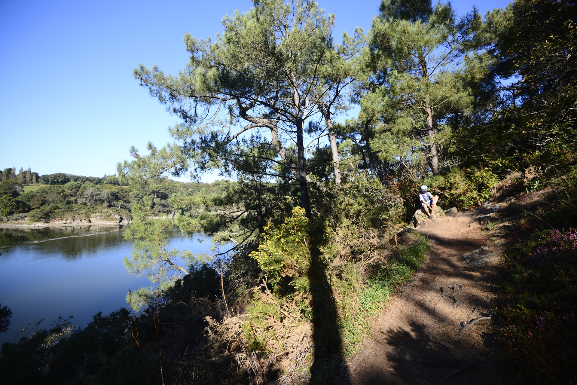 Chemin de randonnée sur les rives de la Laïta à Guidel proche Lorient (Morbihan) 56