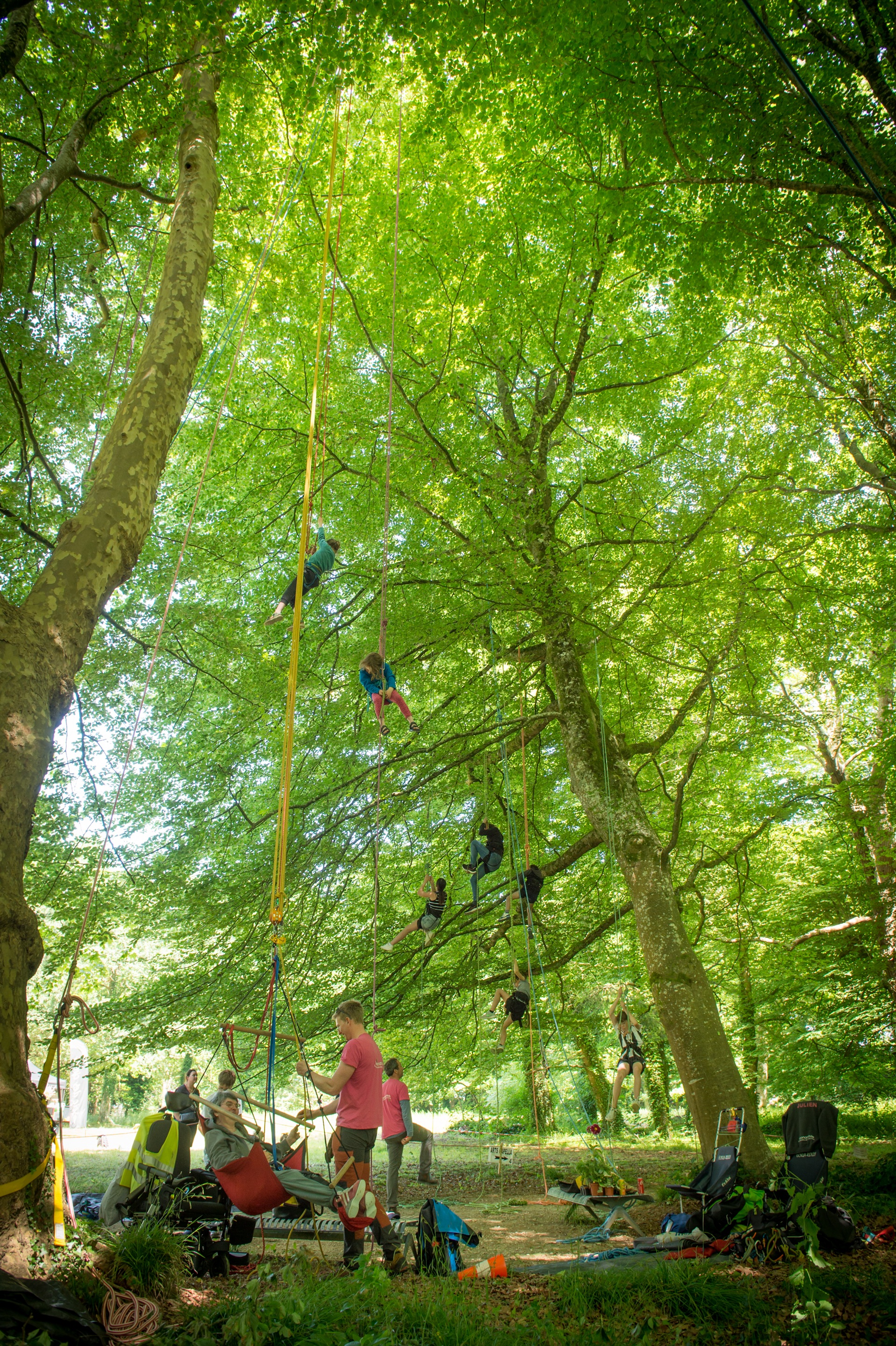 Dans les arbres du domaine du Lain à Gestel lors de la fête de la nature proche Lorient (Morbihan) 56