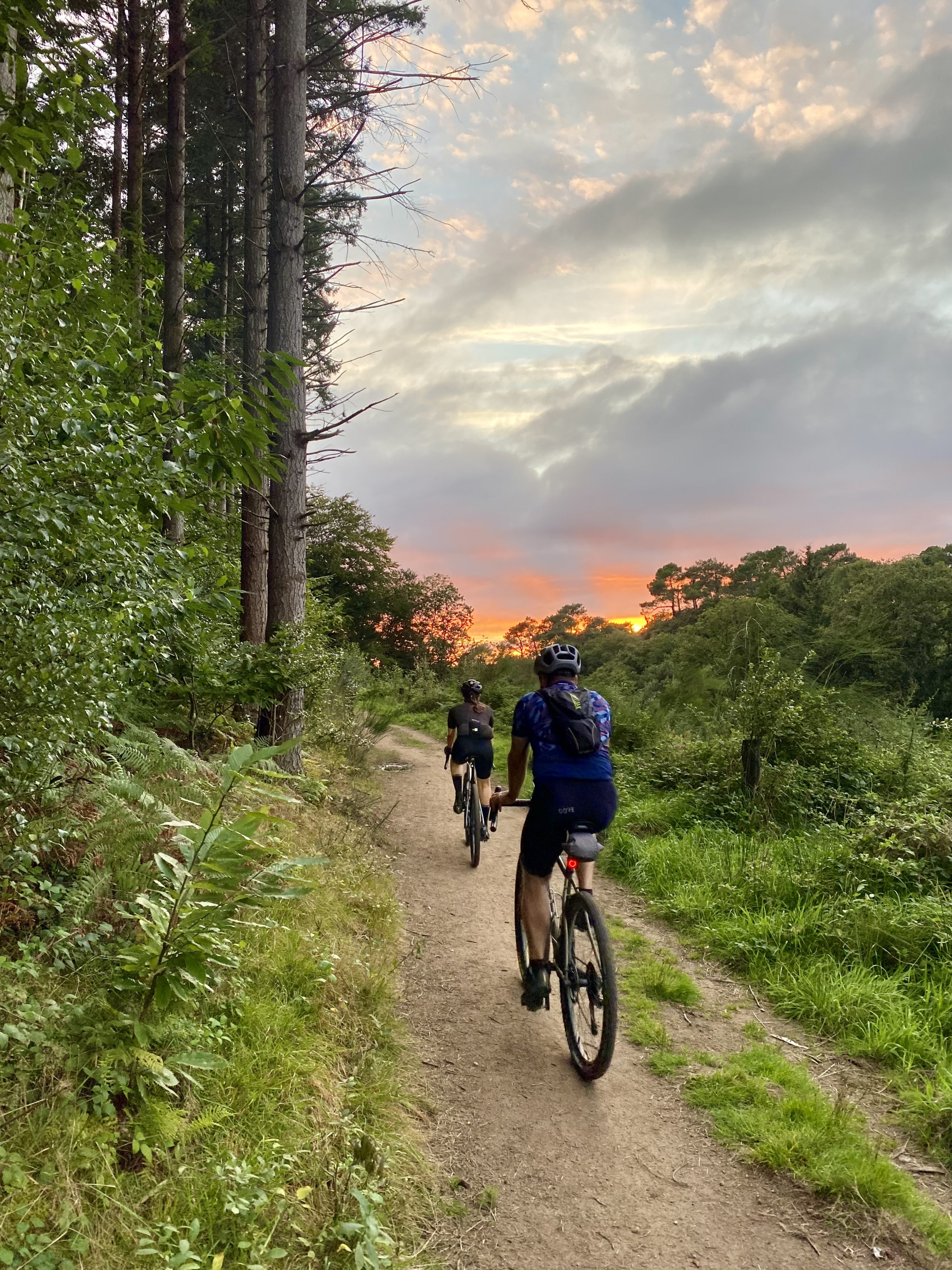 En roue libre, organisation de votre séjour à vélo en itinérance dans tout le Morbihan et Finistère Sud (Morbihan, 56)