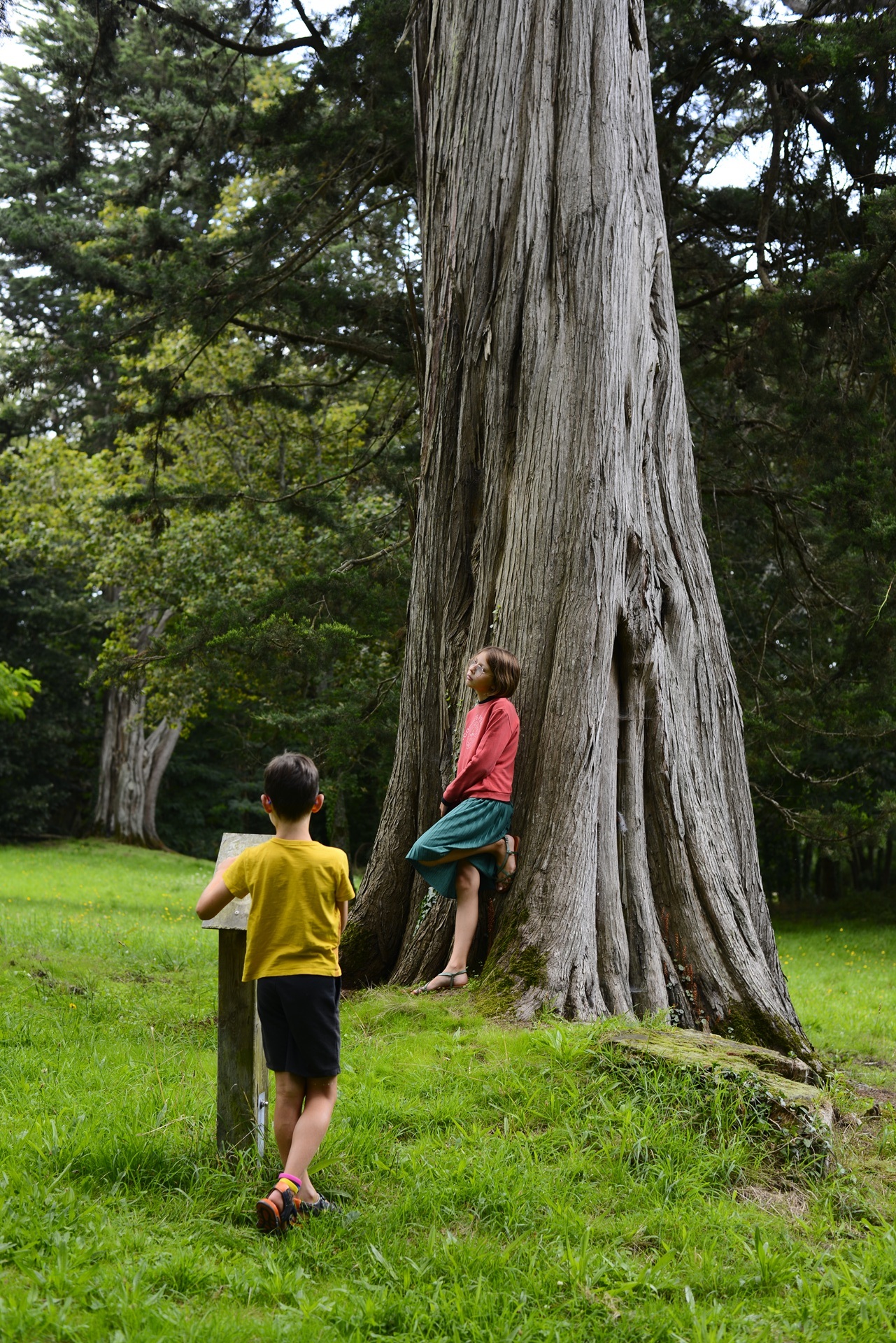Enfants au parc du château du Diable à Caudan proche Lorient (Morbihan) 56