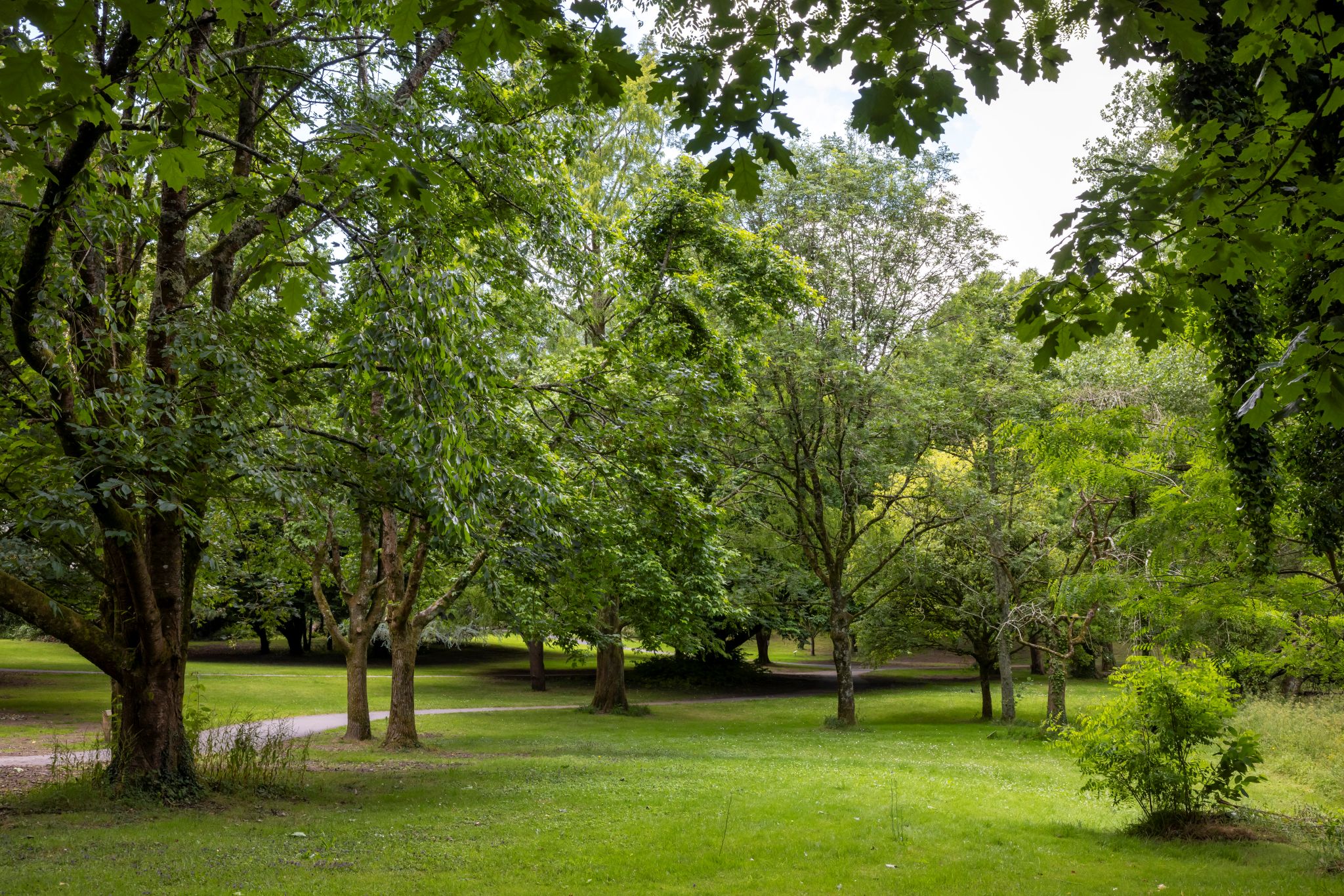 Esplanade et allée arborée au parc de Bois du Château à Lorient (Morbihan, 56)