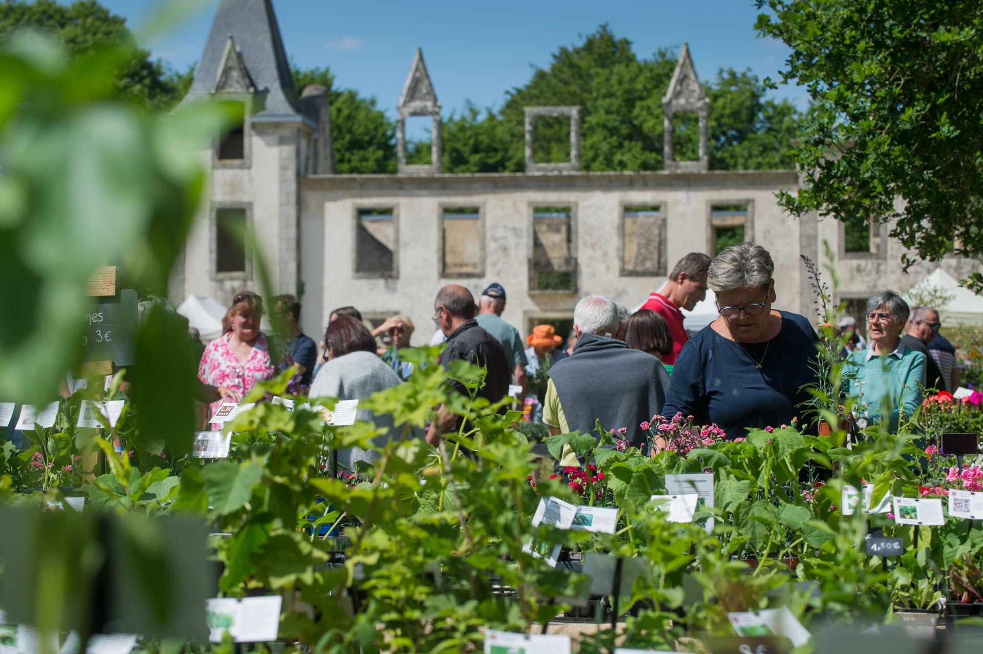 Fête de la Nature au domaine du Lain à Gestel lors de la fête de la nature proche Lorient (Morbihan) 56