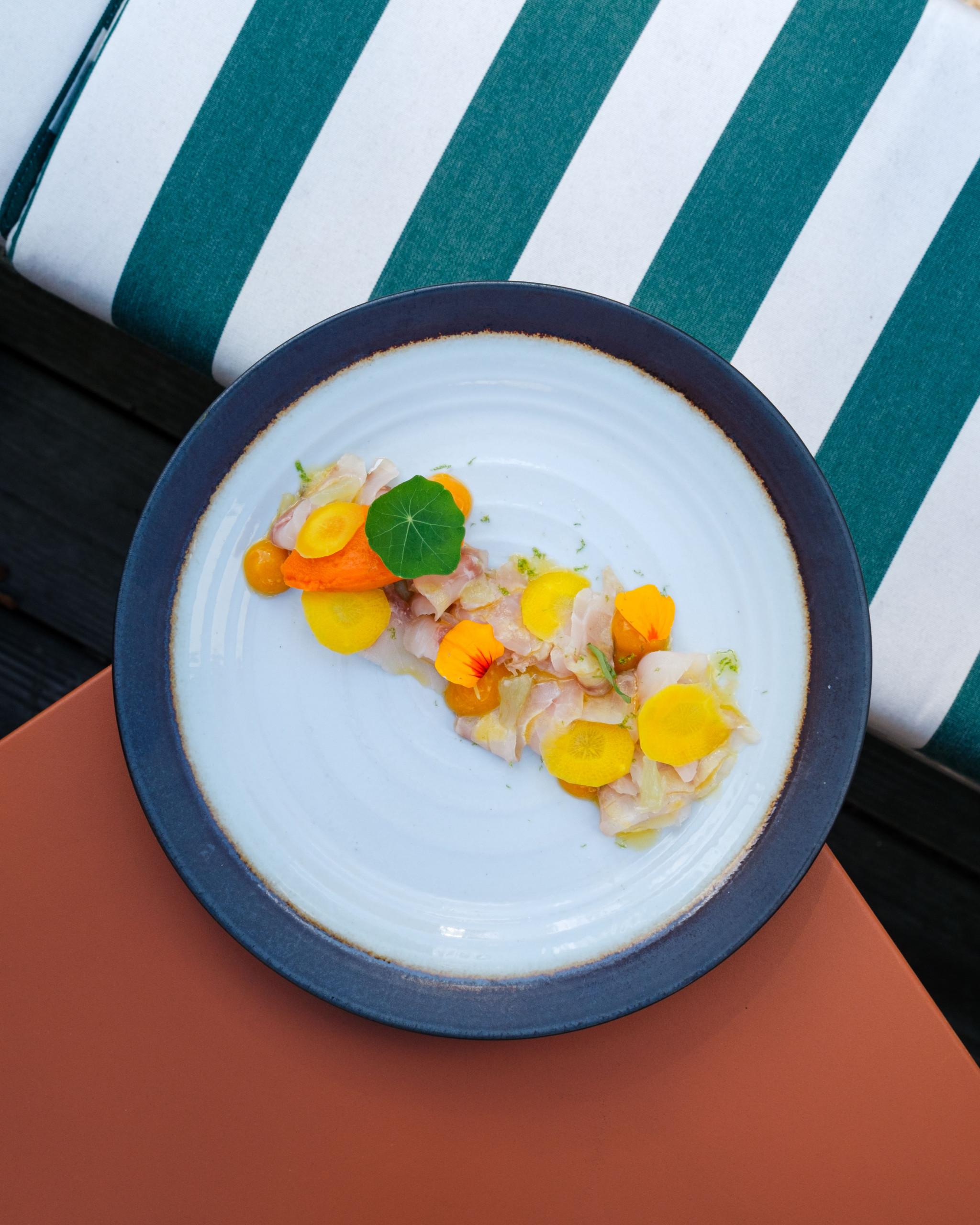 Gros plan sur une assiette de carpaccio de poisson (Le Bono, Morbihan, 56)
