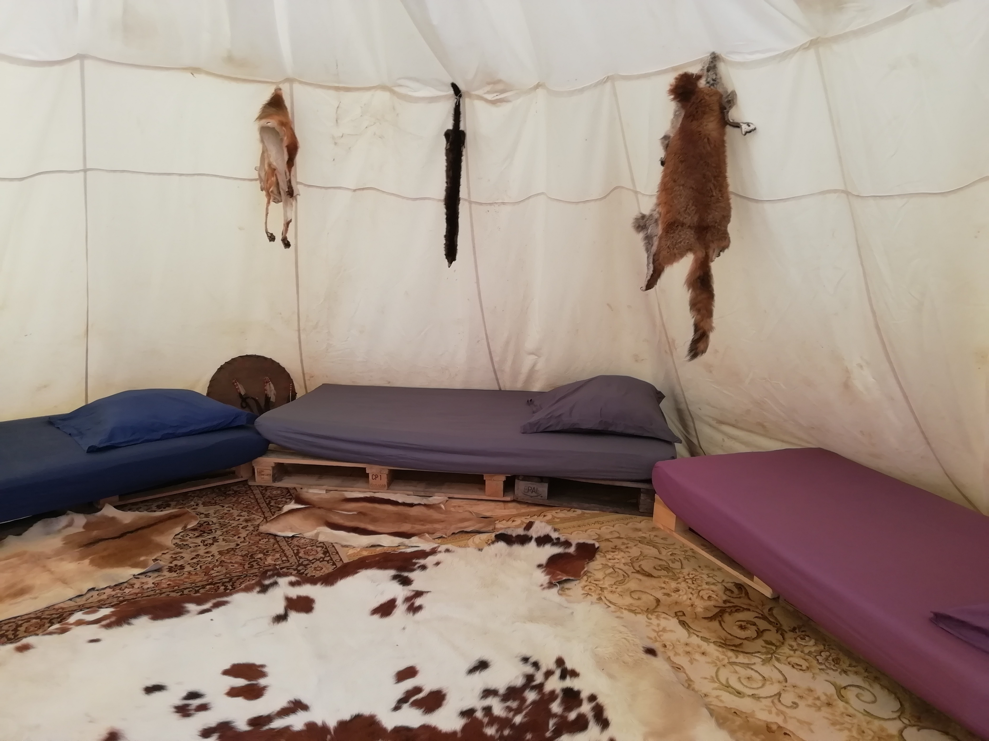 Intérieur d'un tipi au West Wind Ranch à Bubry, près de Lorient (Morbihan, 56) Bretagne Sud