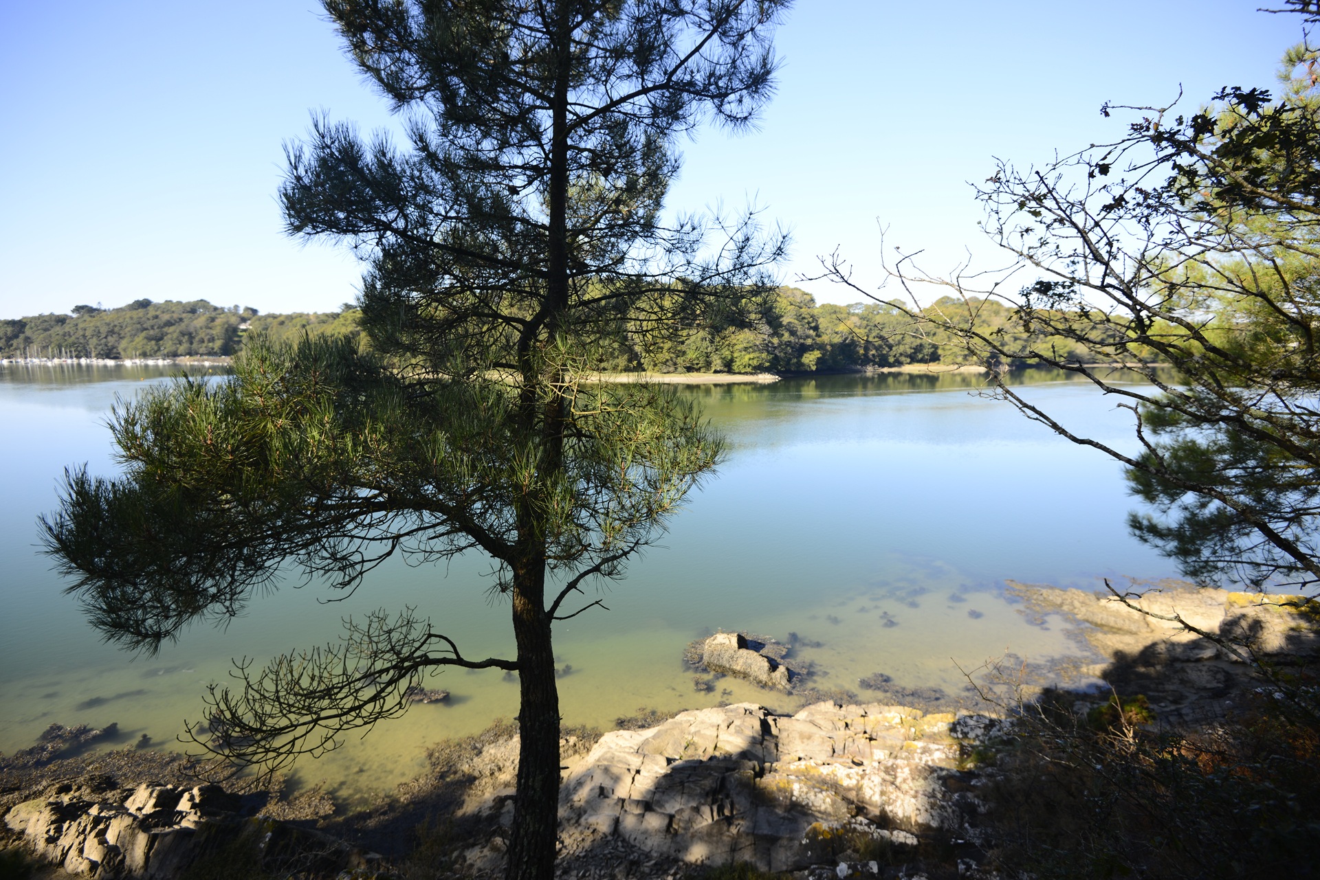 Les rives de la Laïta à Guidel proche Lorient (Morbihan) 56