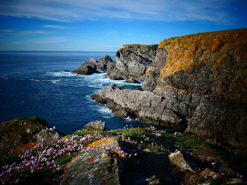 Littoral de falaise préservé à la réserve natuelle François Le Bail, à l'île de Groix, Bretagne Sud (Morbihan, 56)