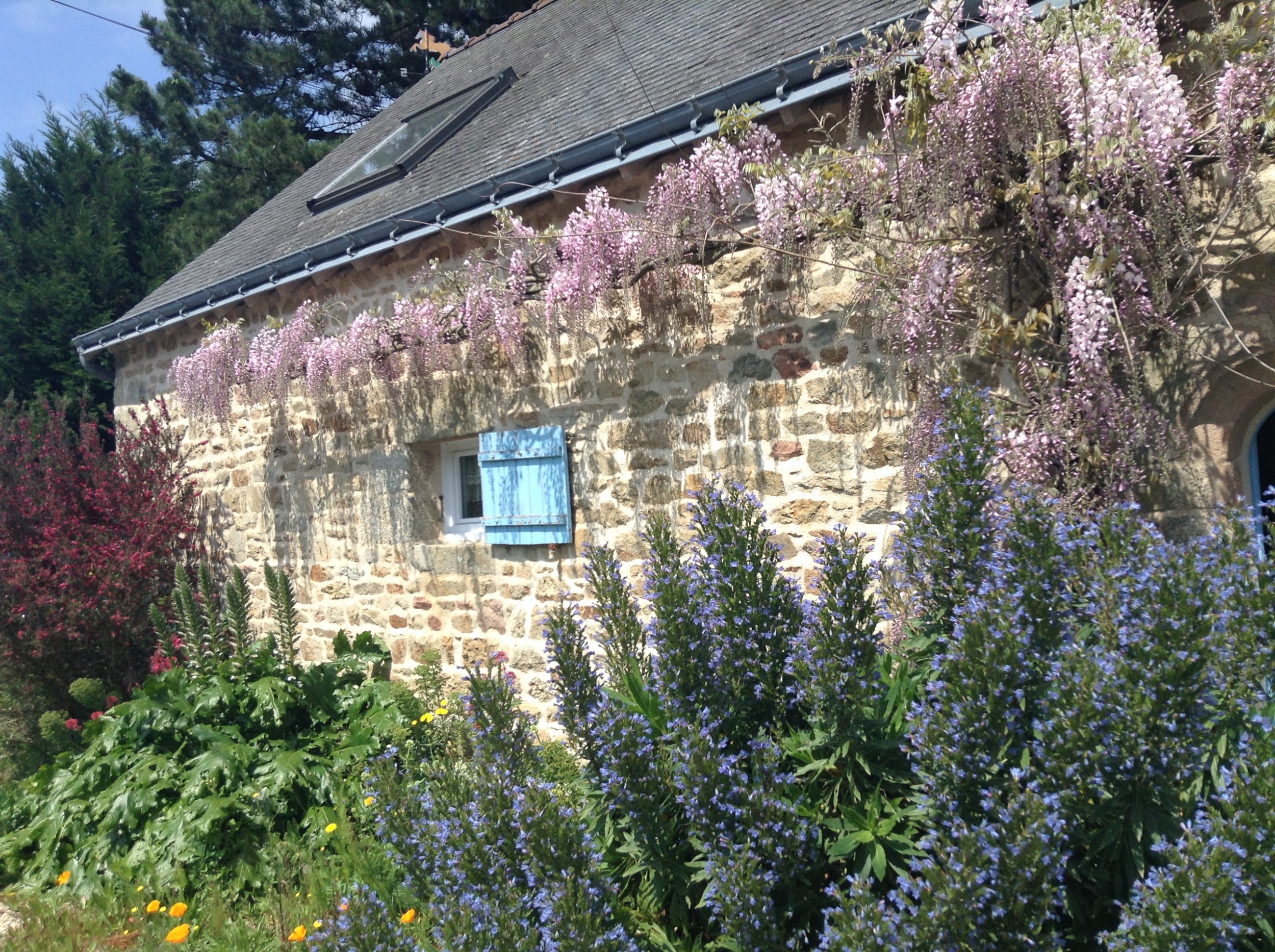 Mur de pierre de taille et lampes feutrées, venez vous évadez dans cette maison d'hôtes à Guidel à Lorient Bretagne Sud (Morbihan, 56)