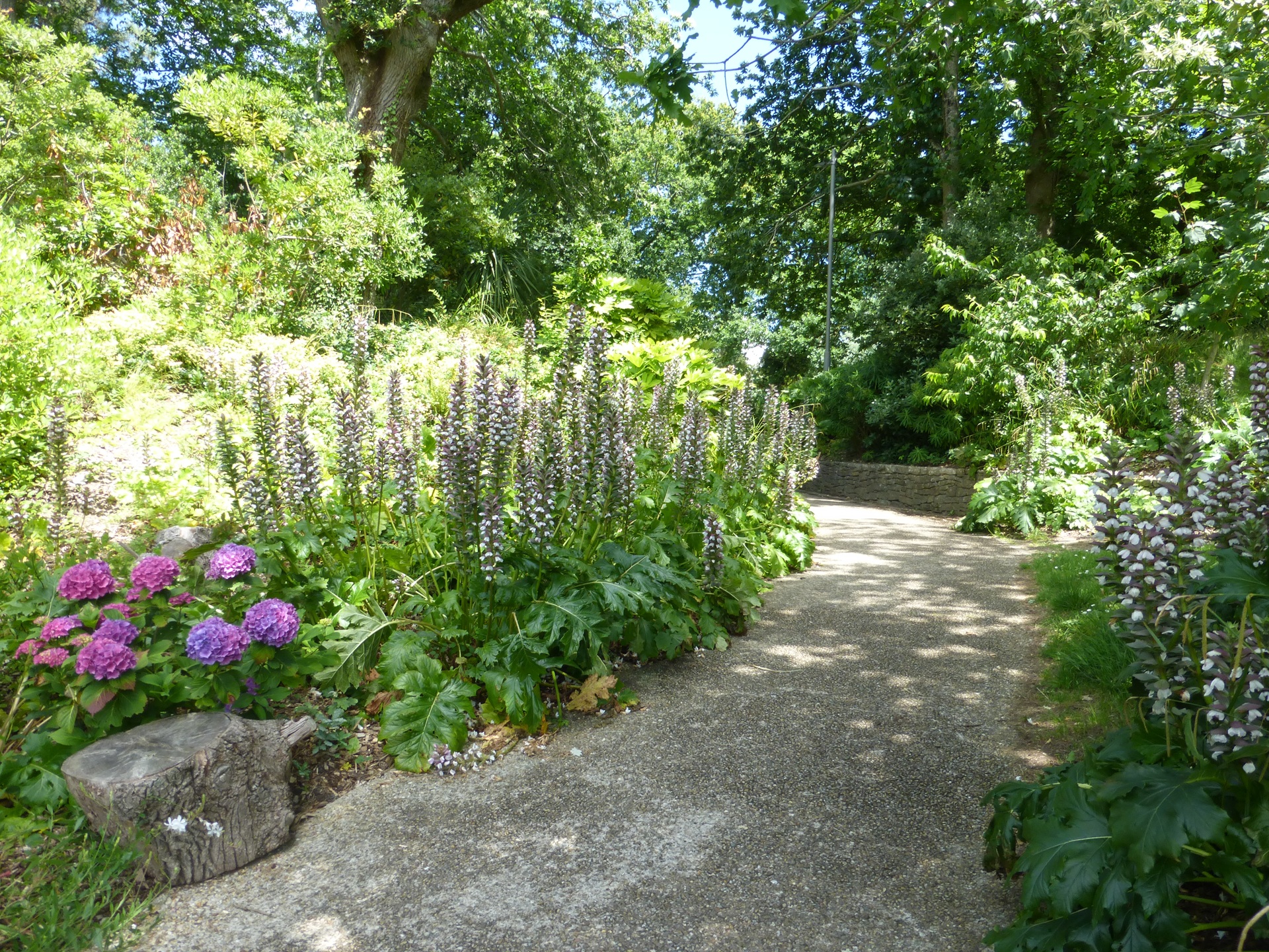 Parterre de fleurs au Parc du Venzu à Lorient (Morbihan) 56