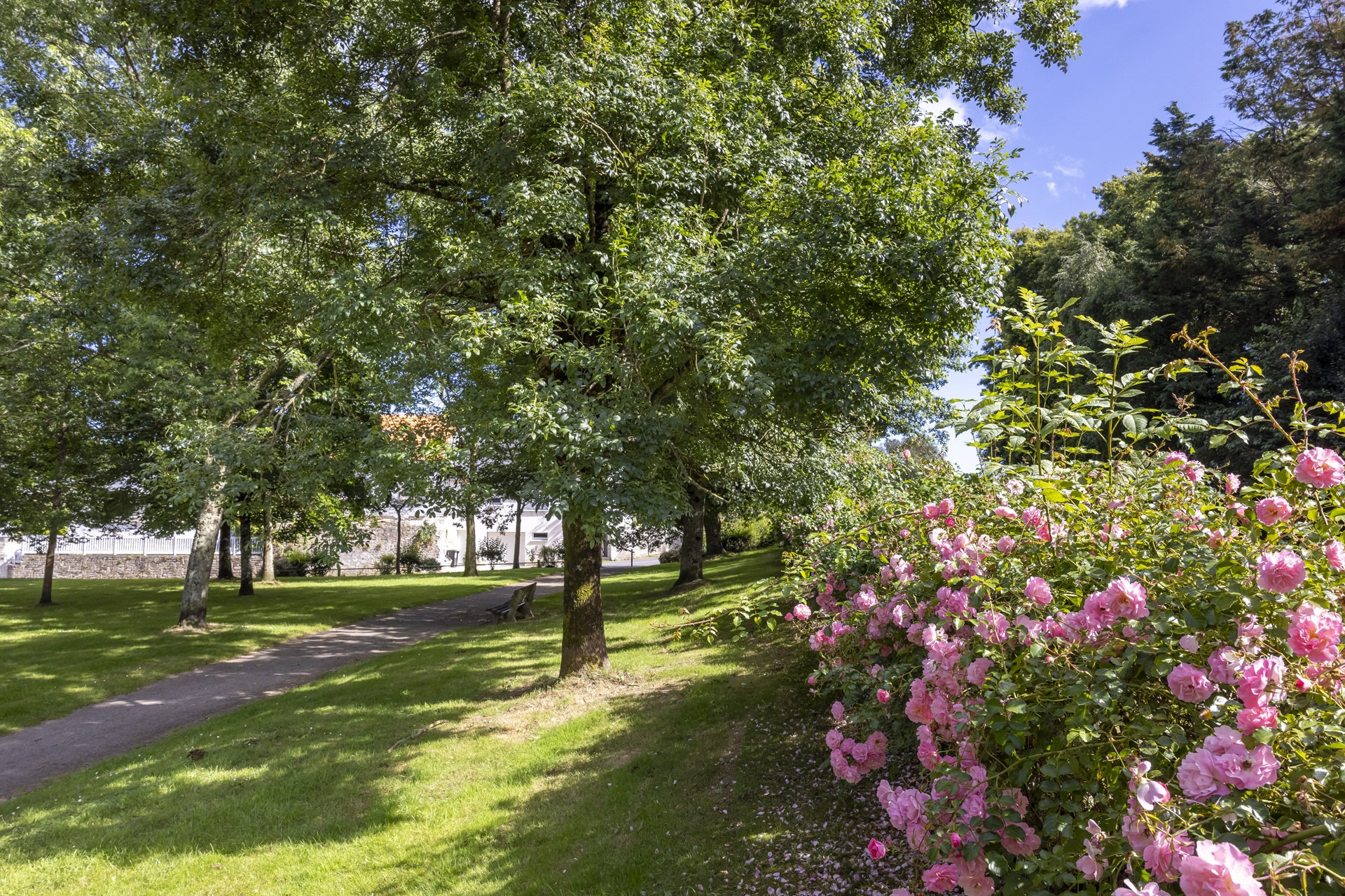 Parterre de fleurs dans le jardin du manio à Lorient (Morbihan) 56