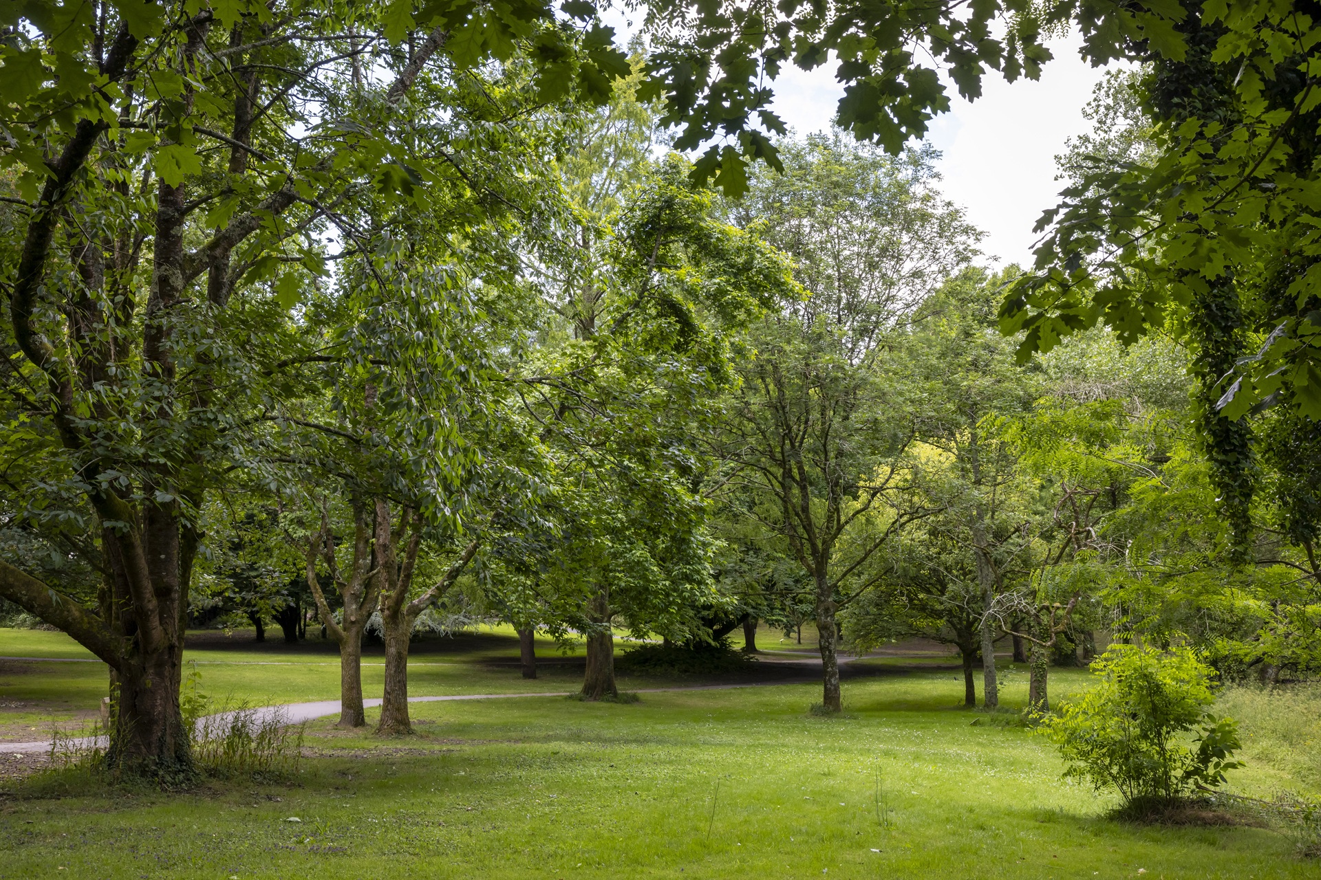 Pelouse et arbre verdoyant au parc de Bois du Château à Lorient (Morbihan) 56