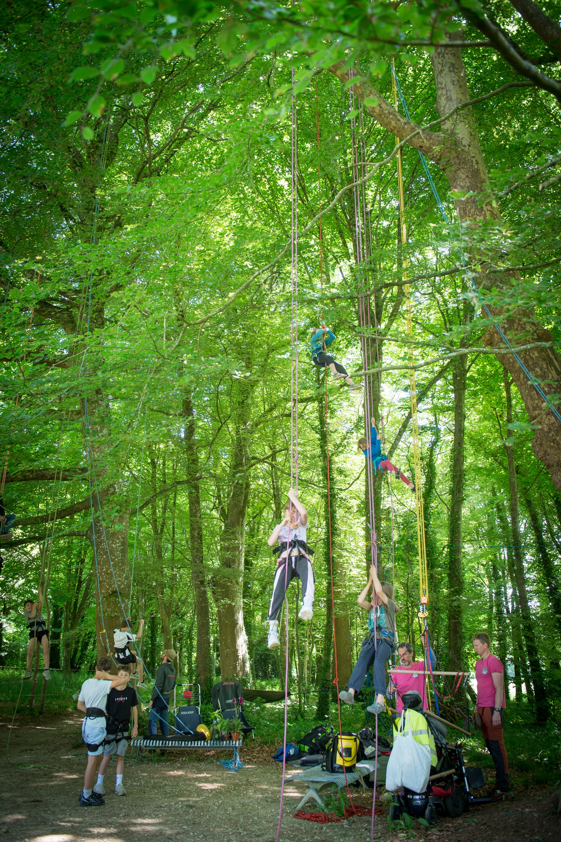 Personnes se hissant dans les arbres du domaine du Lain à Gestel proche Lorient (Morbihan) 56