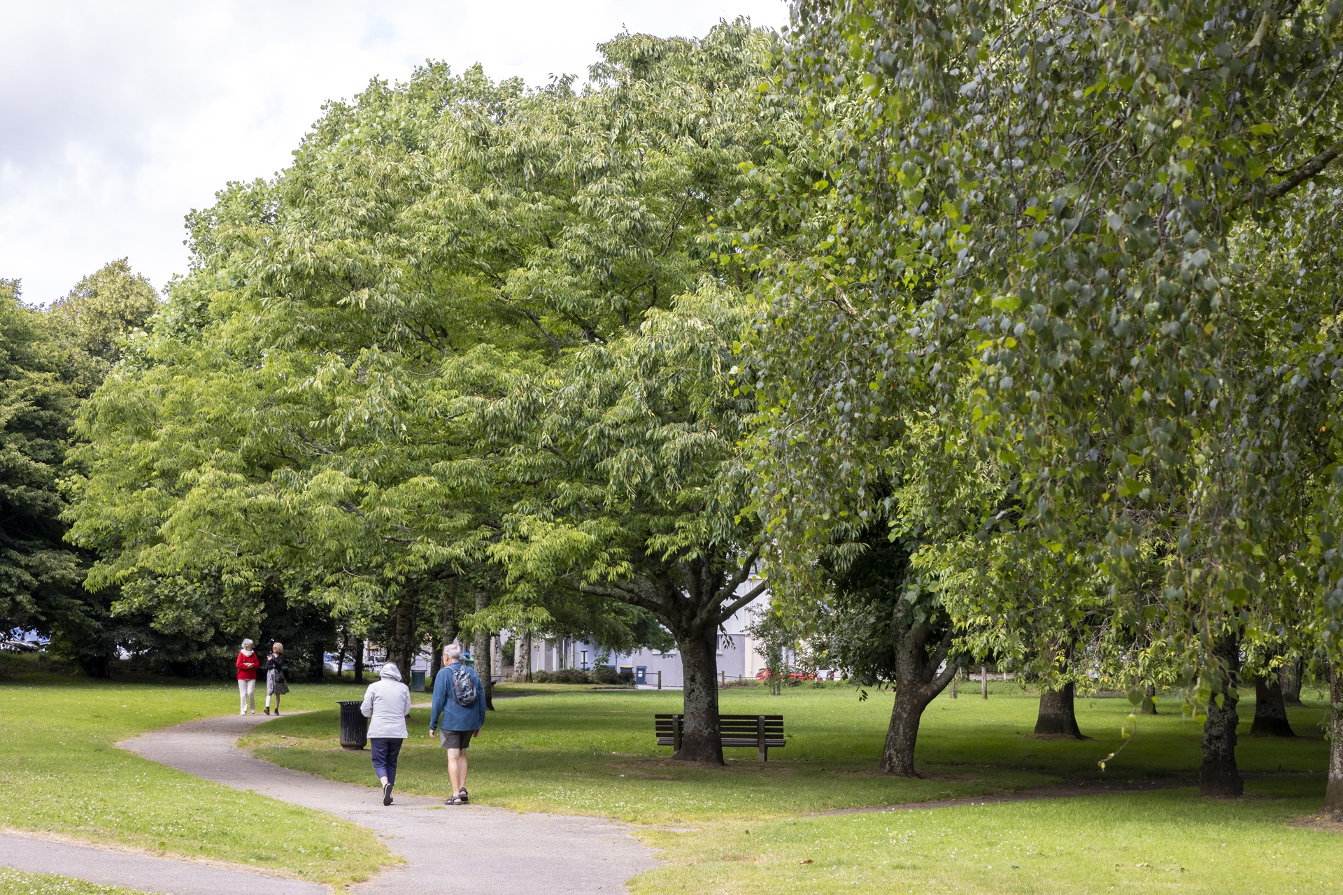 Promeneurs au jardin du manio à Lorient (Morbihan) 56