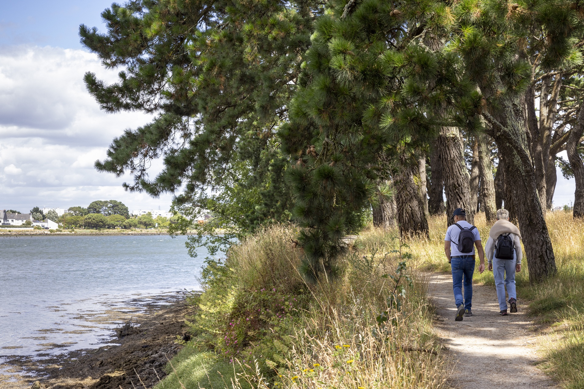 Promeneurs le long des rives du Scorff à Lorient (Morbihan) 56