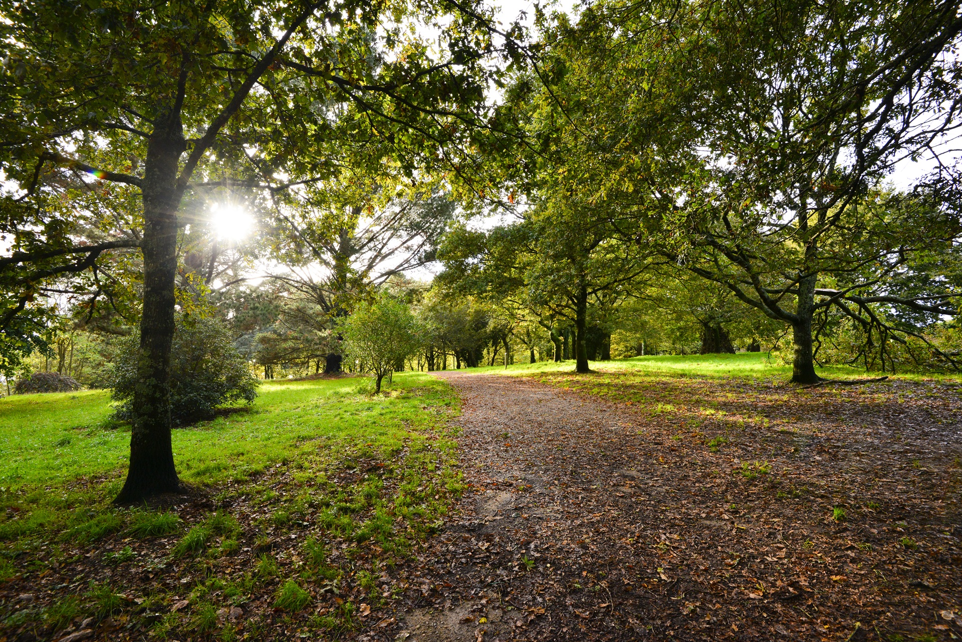 Sentier au parc du château du Diable à Caudan proche Lorient (Morbihan) 56