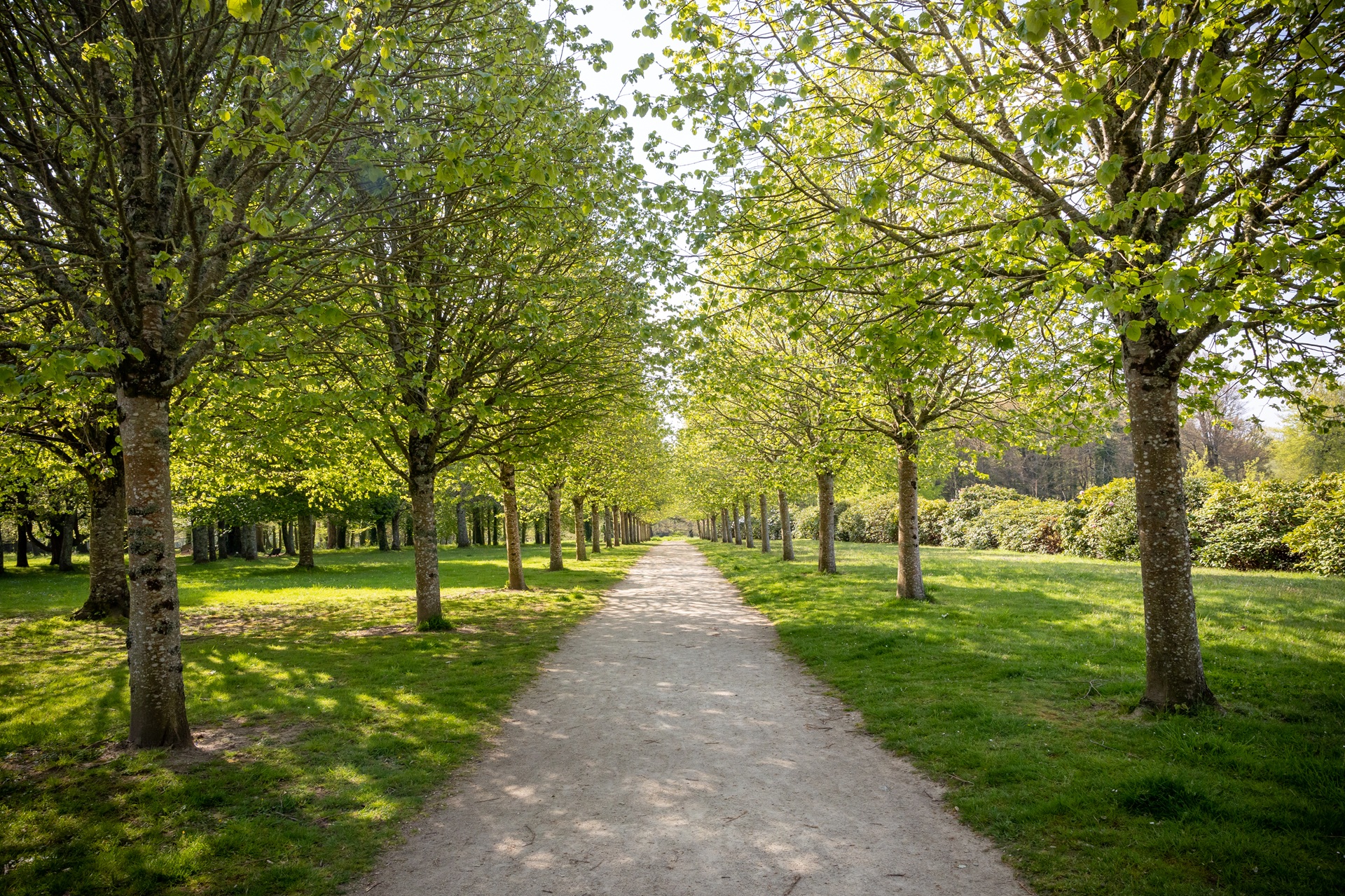 Sentier dans le jardin du domaine du Lain à Gestel proche Lorient (Morbihan) 56