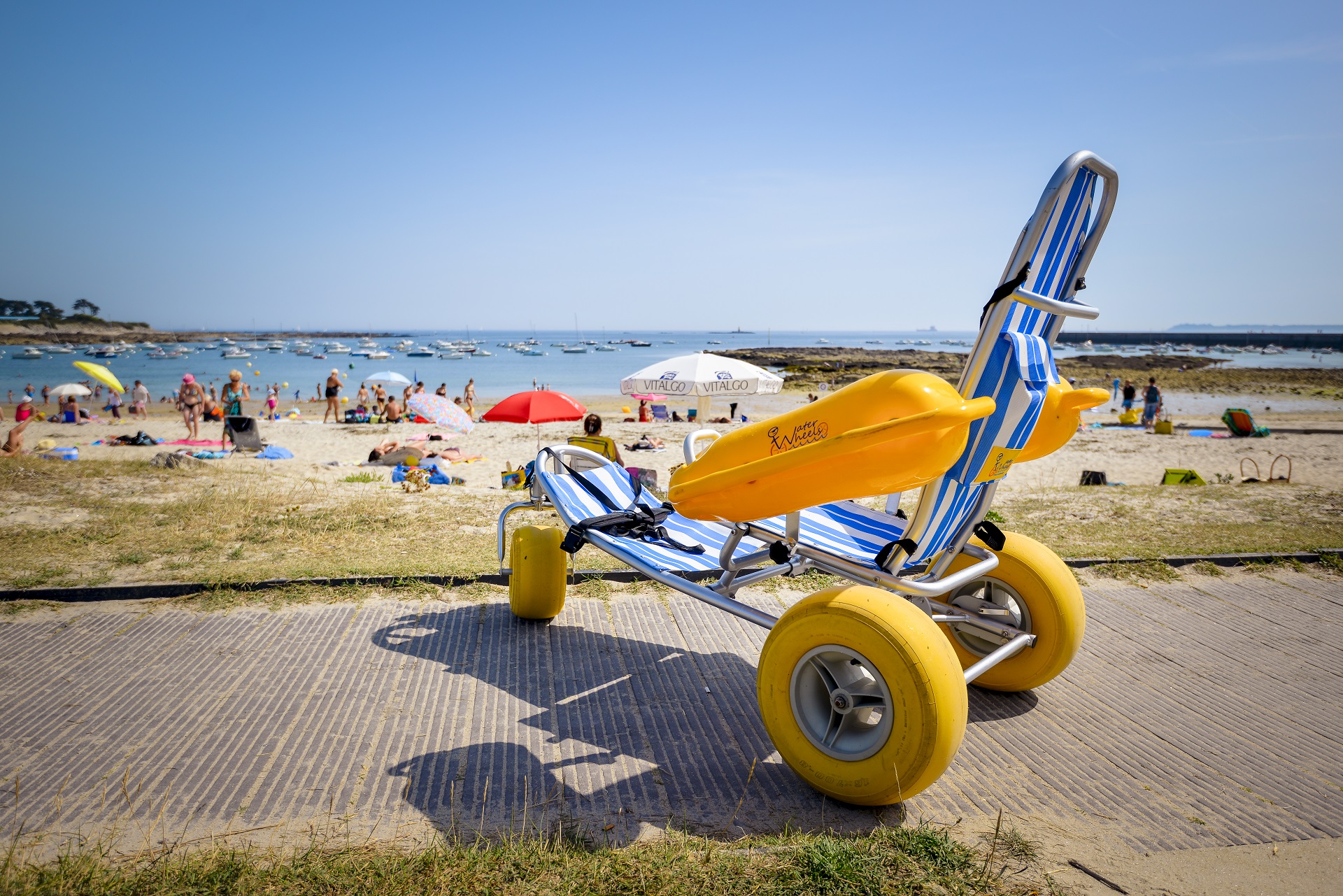 Tiralo proche la plage de l'anse du Stole à Ploemeur (Morbihan) 56