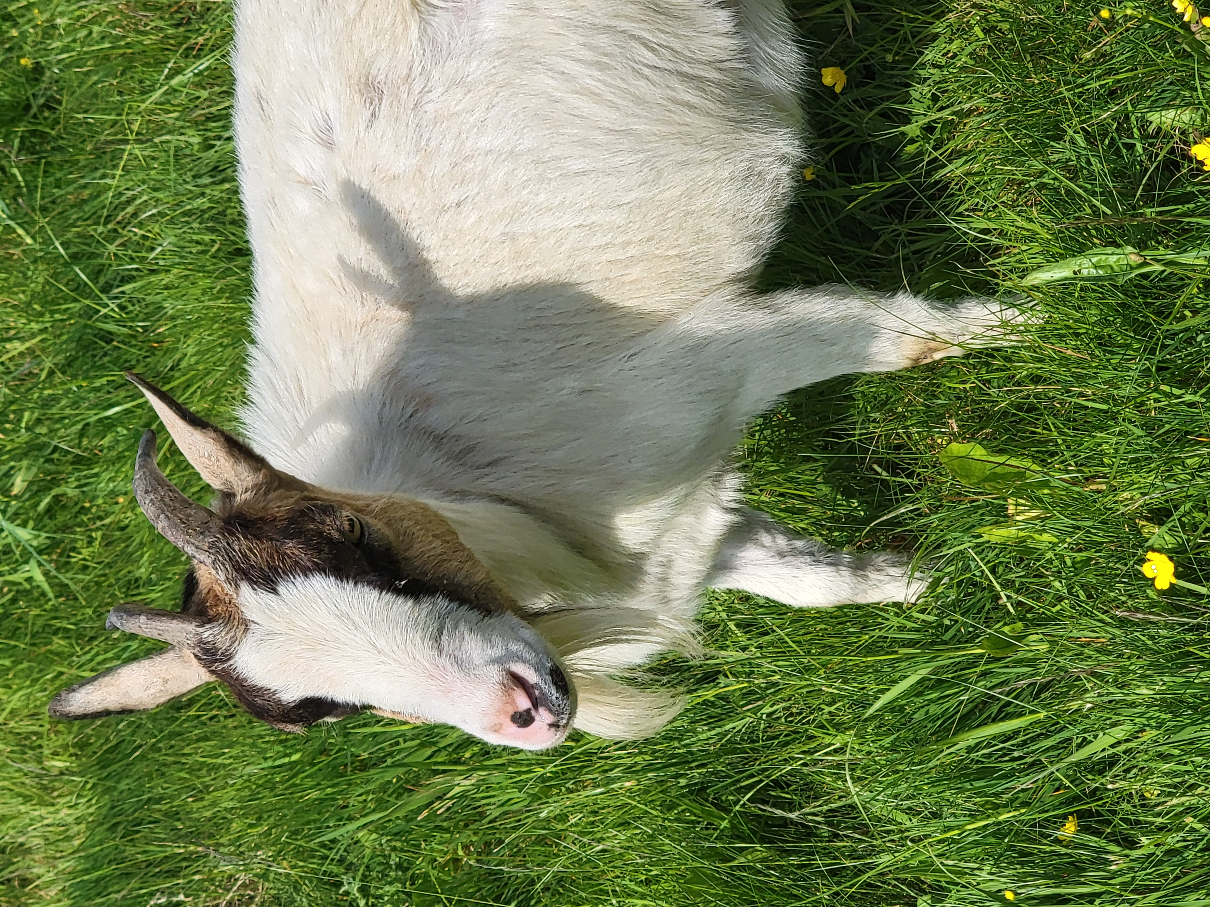 Un cadre naturel entre forêt et rivière au Domaine du Scorff à Lorient Bretagne Sud (56 Morbihan)
