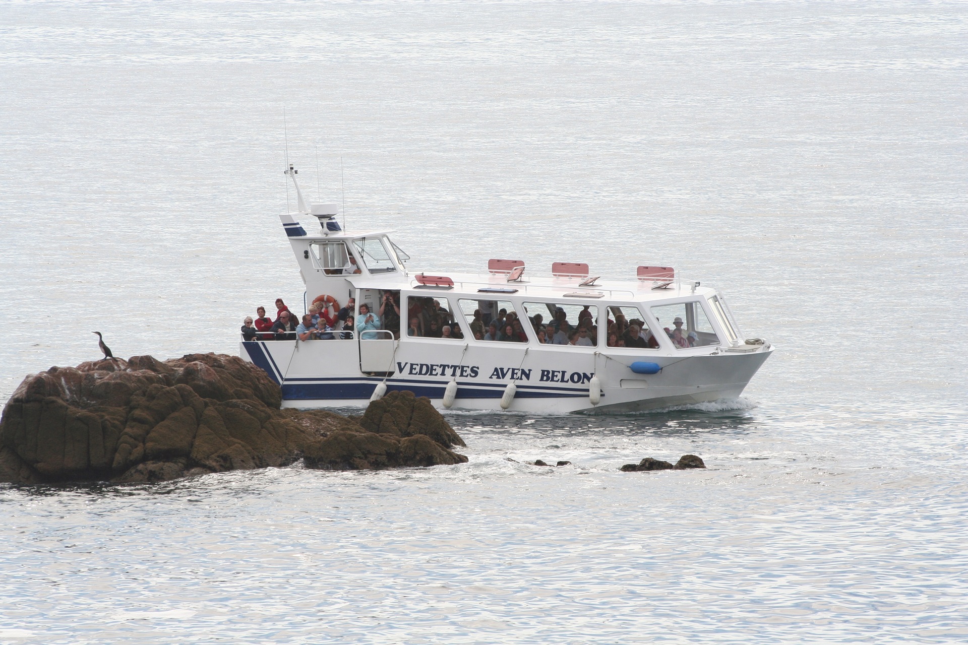 Une sortie en mer le long des rias de l’Aven et du Bélon avce Les Vedettes Aven Belon à Lorient Bretagne Sud (56 Morbihan)