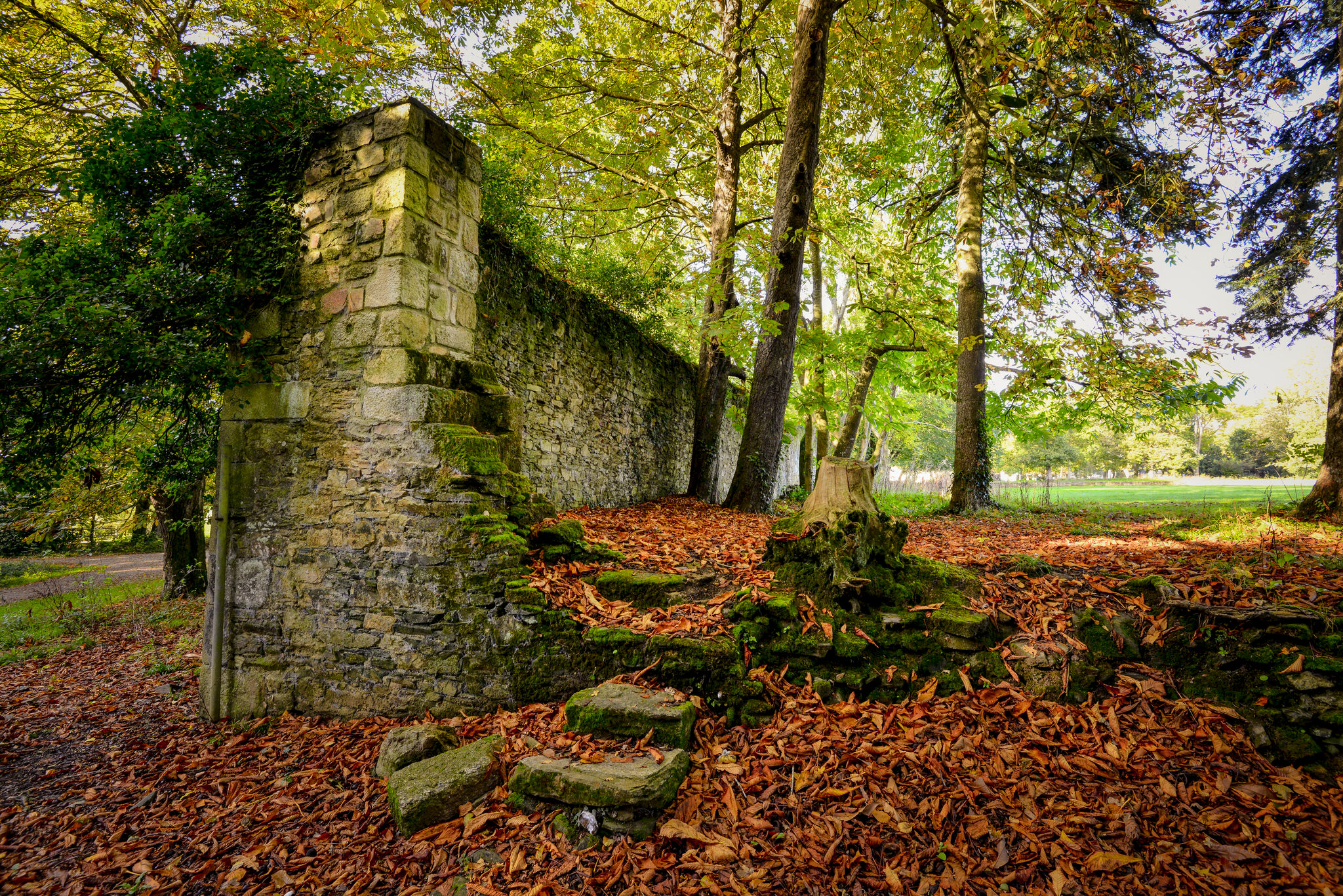 Vestiges au parc du Plessis à Lanester proche Lorient (Morbihan) 56