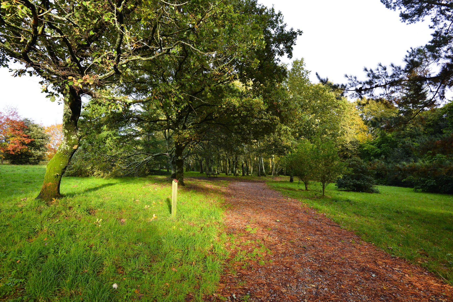 Vue d'ensemble au parc du château du Diable à Caudan proche Lorient (Morbihan) 56