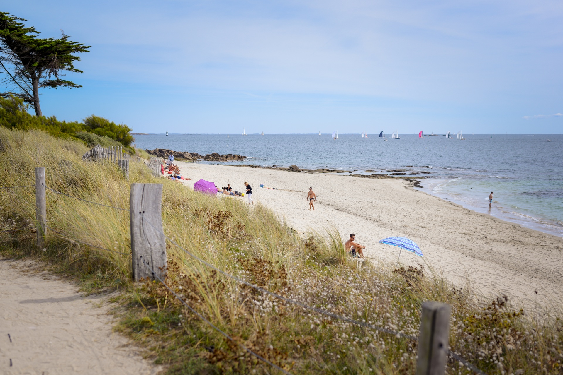 Vue depuis le sentier sur la plage de Kerguelen les roseaux à Larmor-Plage (Morbihan) 56