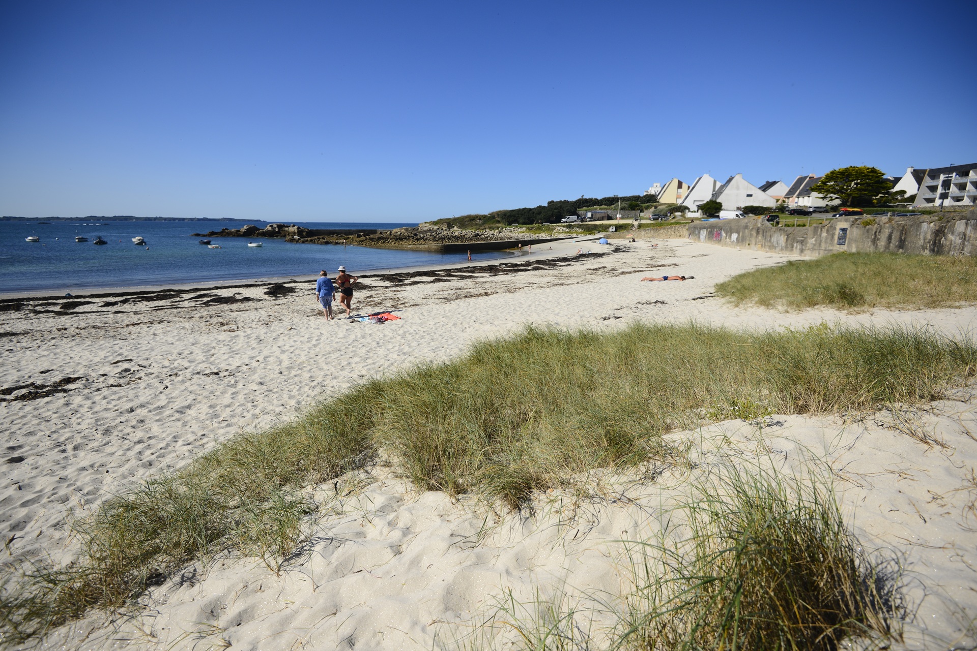 Vue des dunes sur la plage du Courégant à Ploemeur (Morbihan) 56