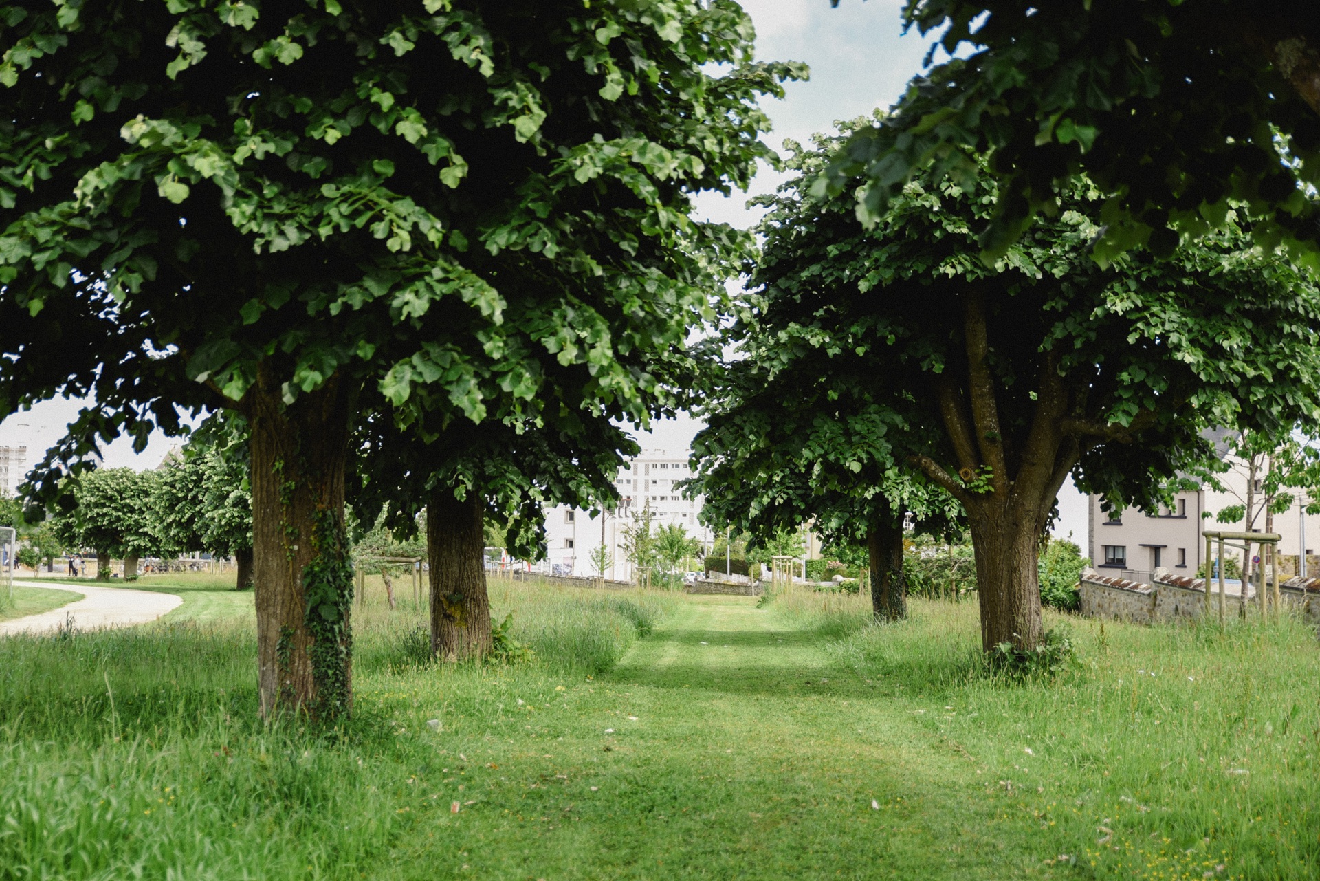 Vue sur jardin Nominoe à Lorient (Morbihan) 56