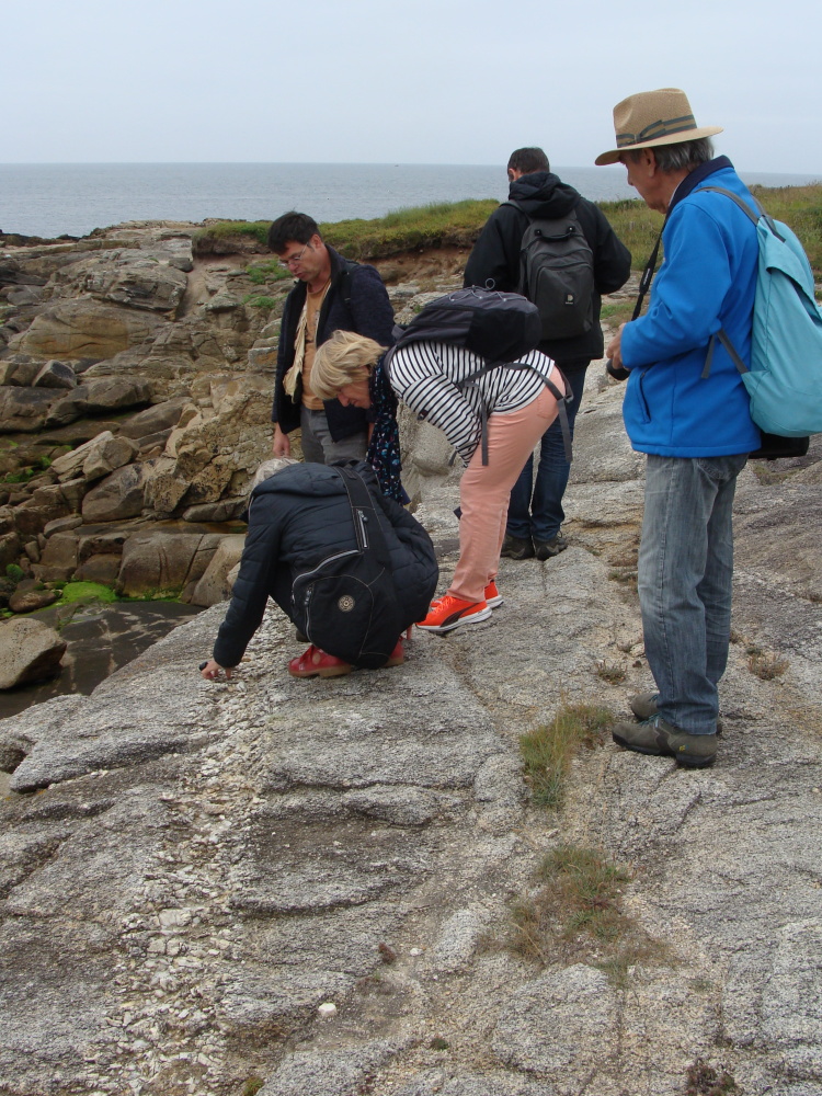 Balade géologique autour de la Pointe du Courégant et visites de sites mégalithiques insoupçonnés