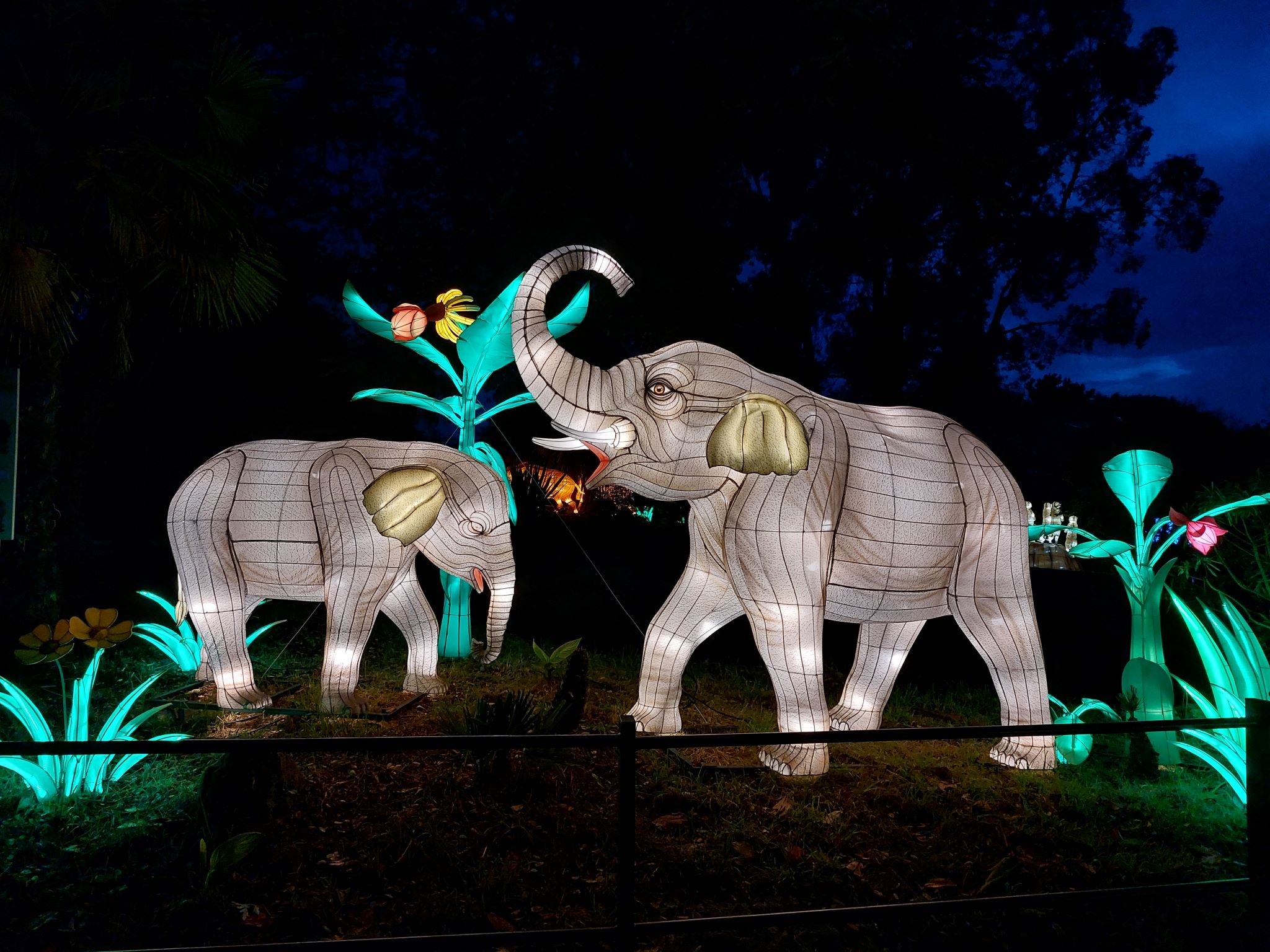 Structures lumineuses d'éléphants au spectacle Les Animaux de Lumière aux Terres de Nataé (Morbihan, 56)
