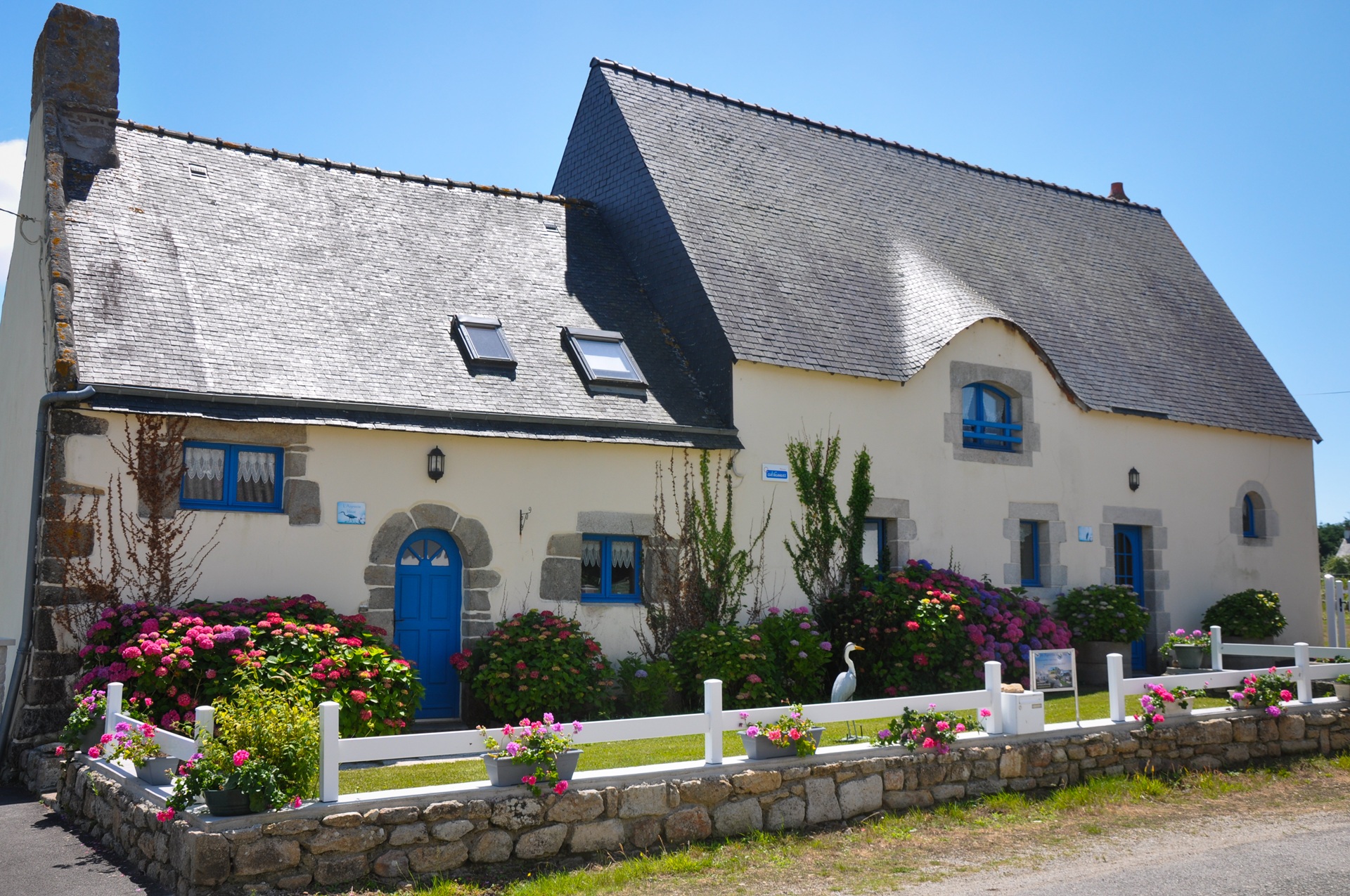 Façade extérieure du gîte La Grande Aigrette, maison néo-bretonne aux portes bleues, jardinet avec ses hortensias rose (Sainte-Hélène, Morbihan, 56)