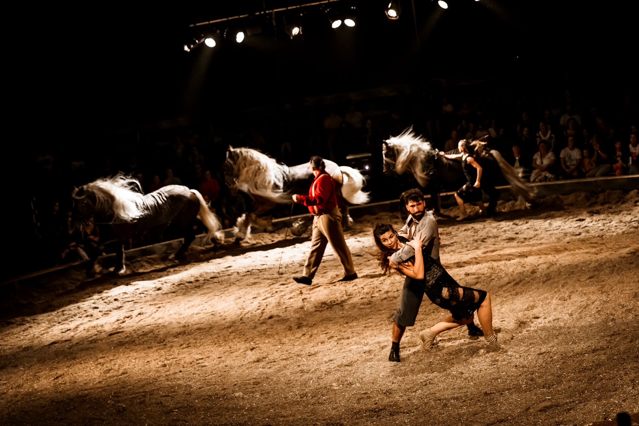 Grand spectacle équestre de Noël Prohibé au Haras national d'Hennebont - 2024-2025 (Morbihan)