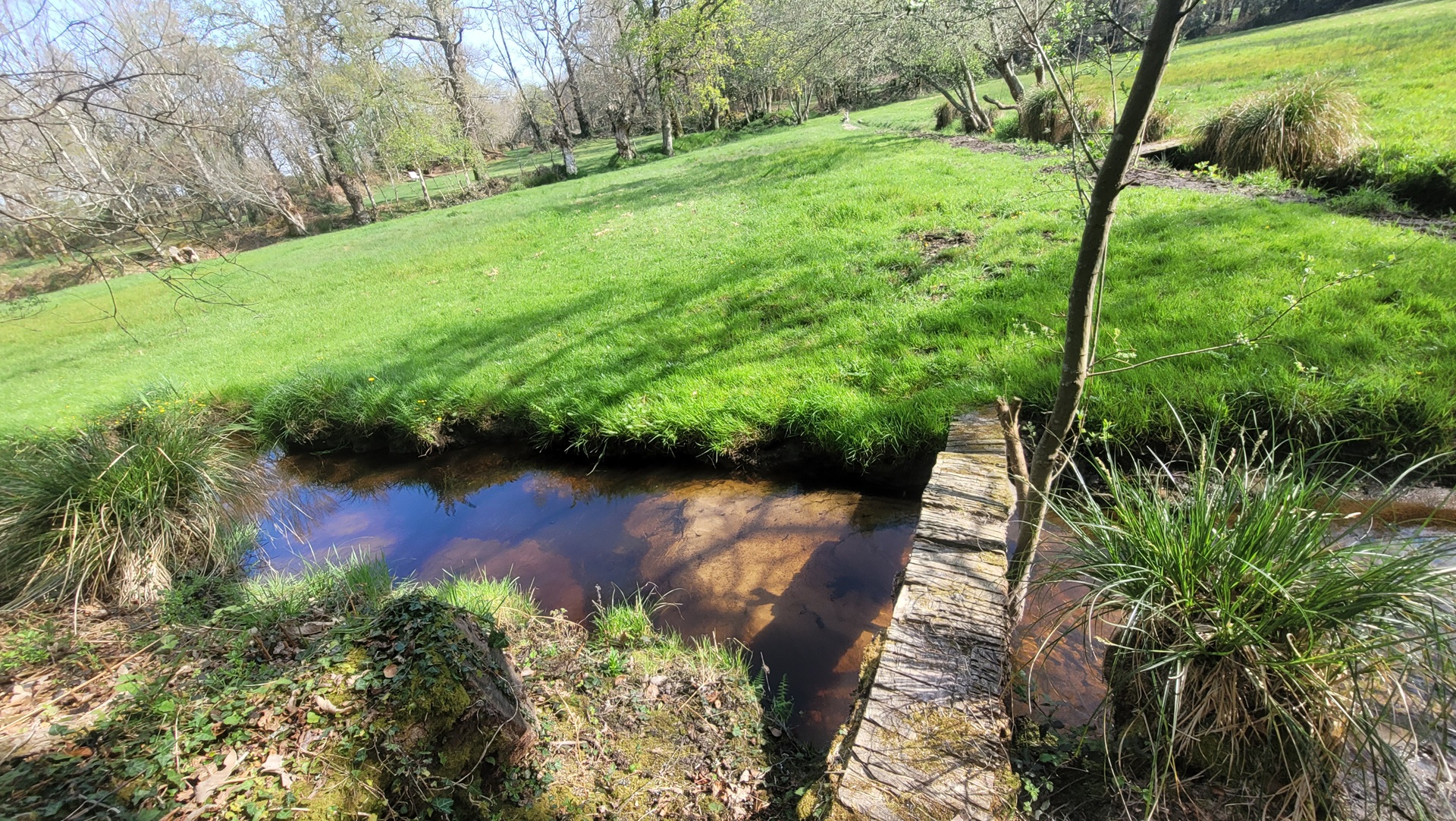 Le petit pont de bois qui passe au-dessus du ruisseau au fond du jardin (Merlevenez, Morbihan, 56)