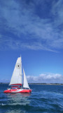 img-20250826-115307-109931
