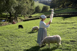 moutons-poul-fetan-photo-p-y-nicolas-57112