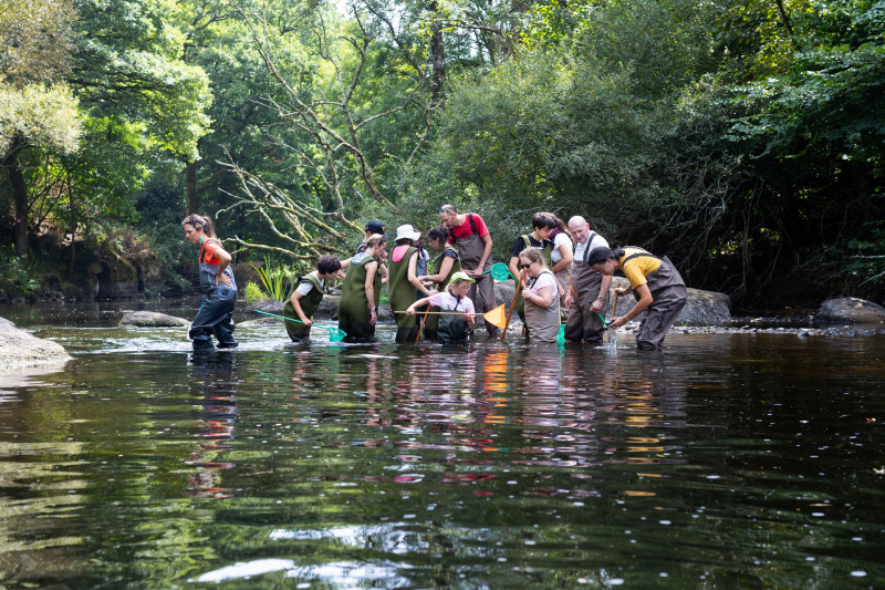 A la recherche de la loutre,  Moulin des Princes à Pont-Scorff (Morbihan, 56)