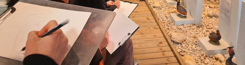 Atelier adaptation des oiseaux vue par le dessin, Maison de l'Ile Kerner à Riantec (Morbihan, 56)