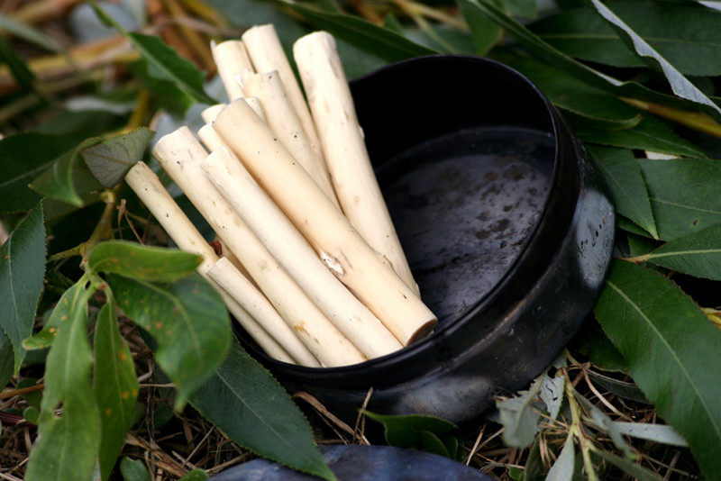 Atelier couleurs & nature, Moulin des Princes à Pont-Scorff (Morbihan, 56)