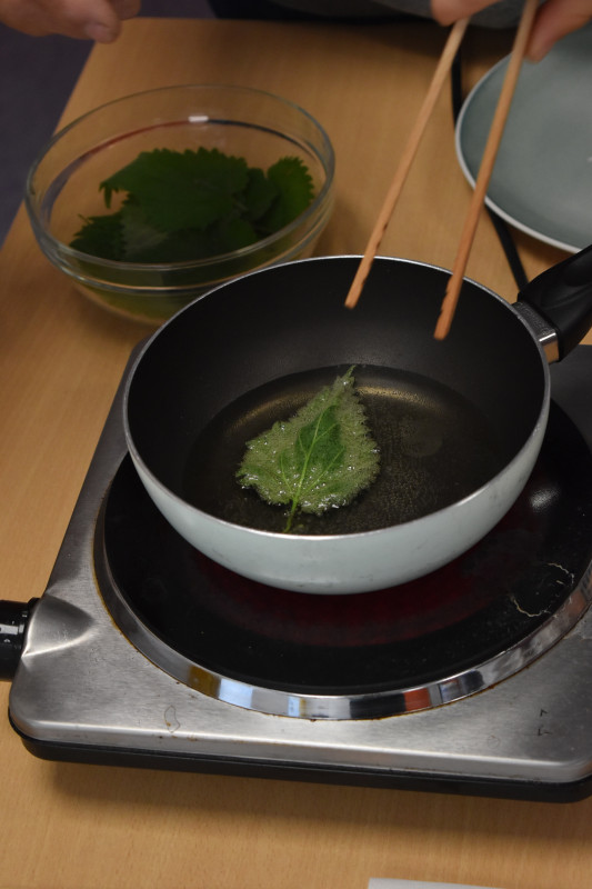 Atelier cuisine sauvage, Moulin des Princes à Pont-Scorff (Morbihan, 56)