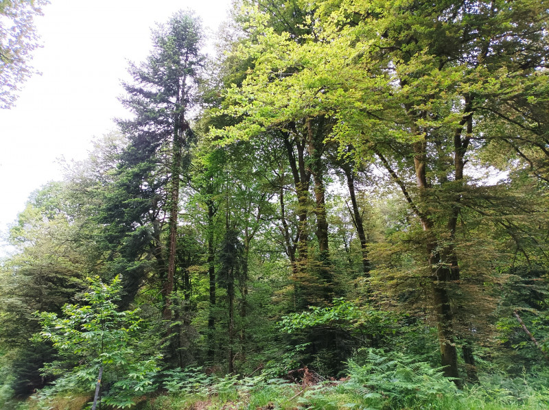 img-20220520-083306-88721