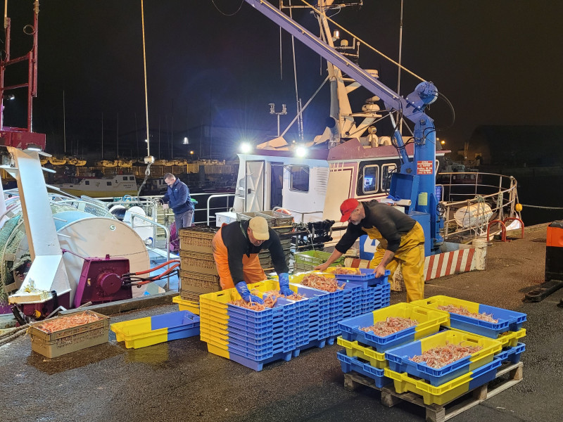 Keroman à l'heure des Langoustines, visite organisée par La Maison de la Mer, l'Espace des Sciences à Lorient (Morbihan, 56)